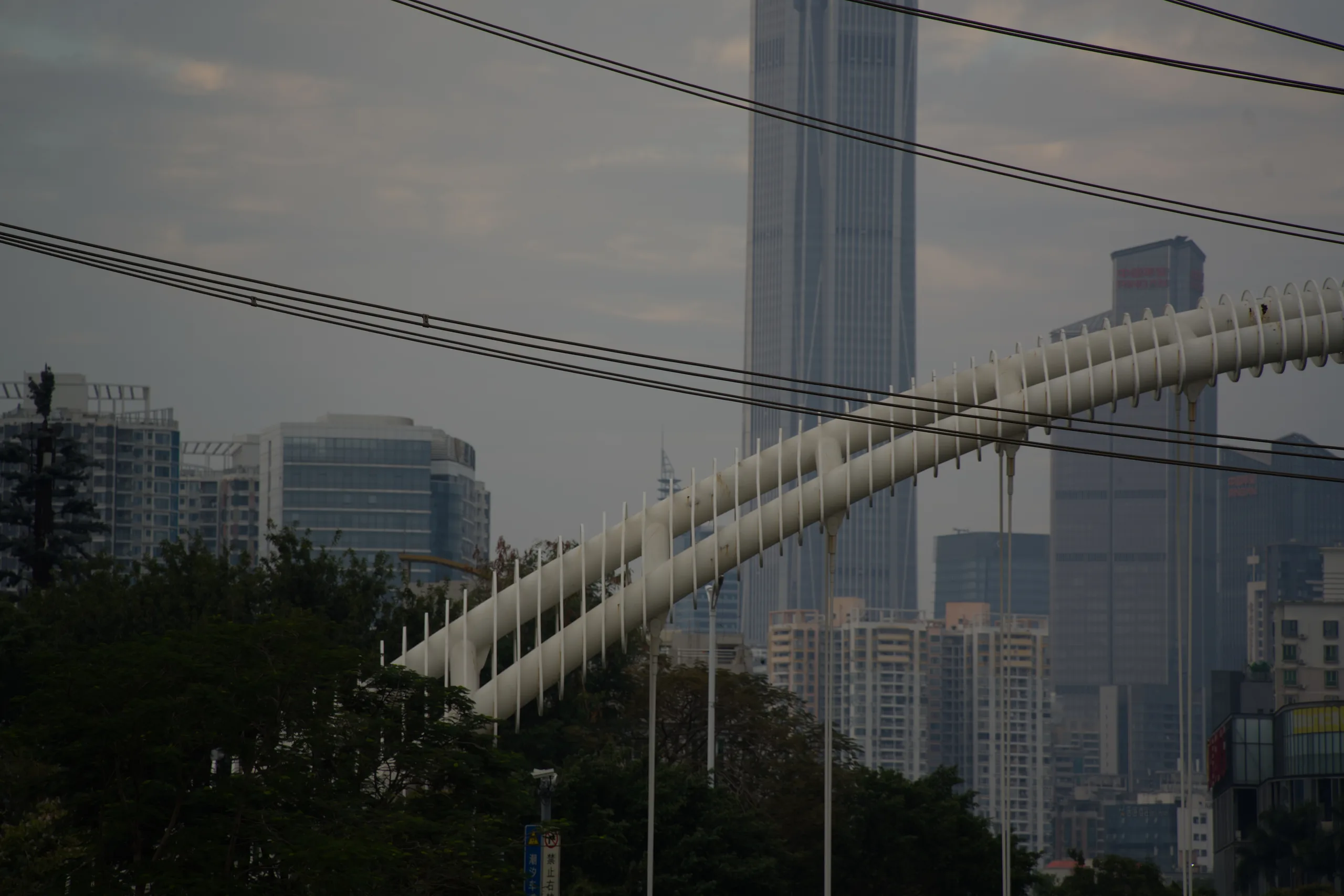DSC00052.1