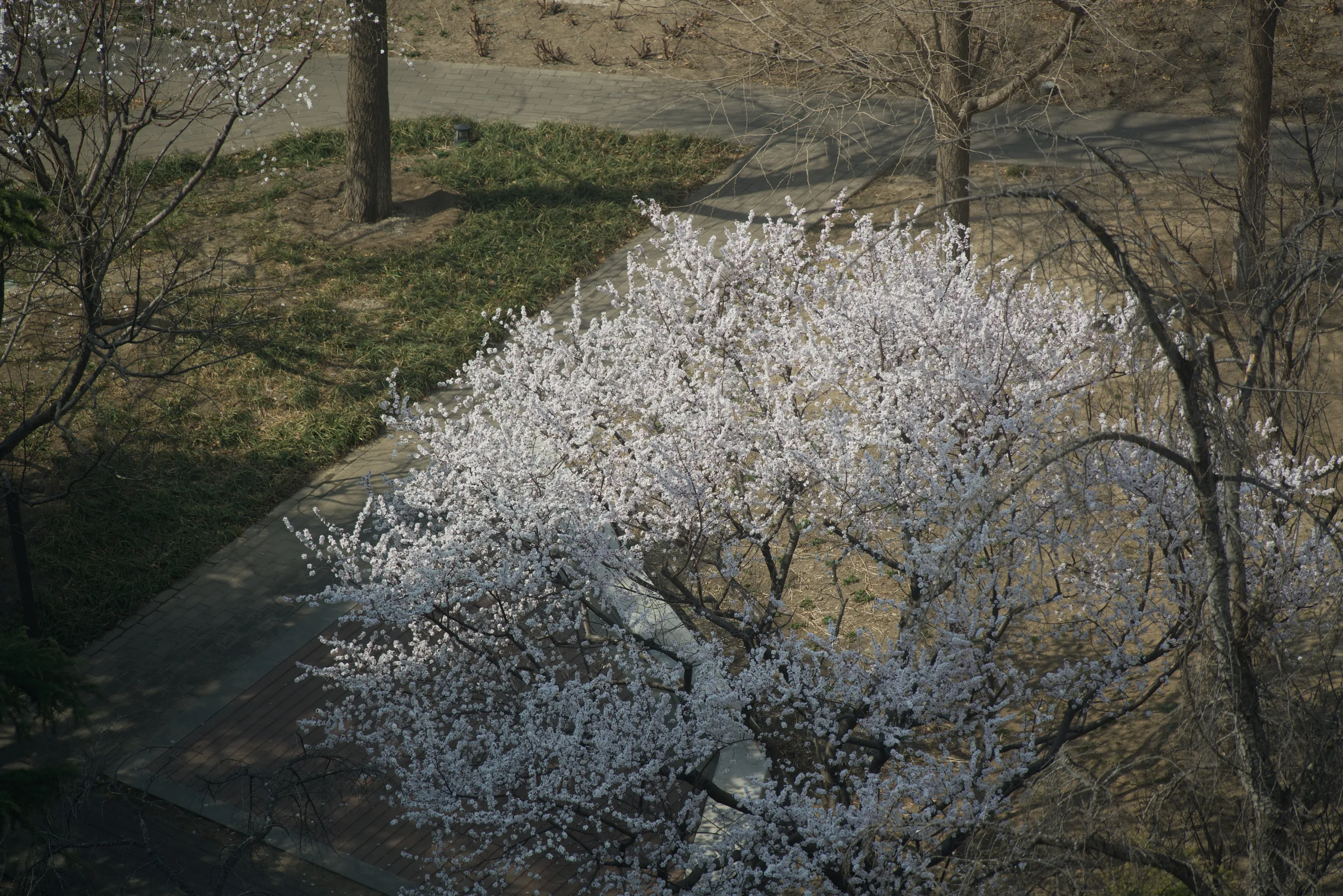 DSC03130