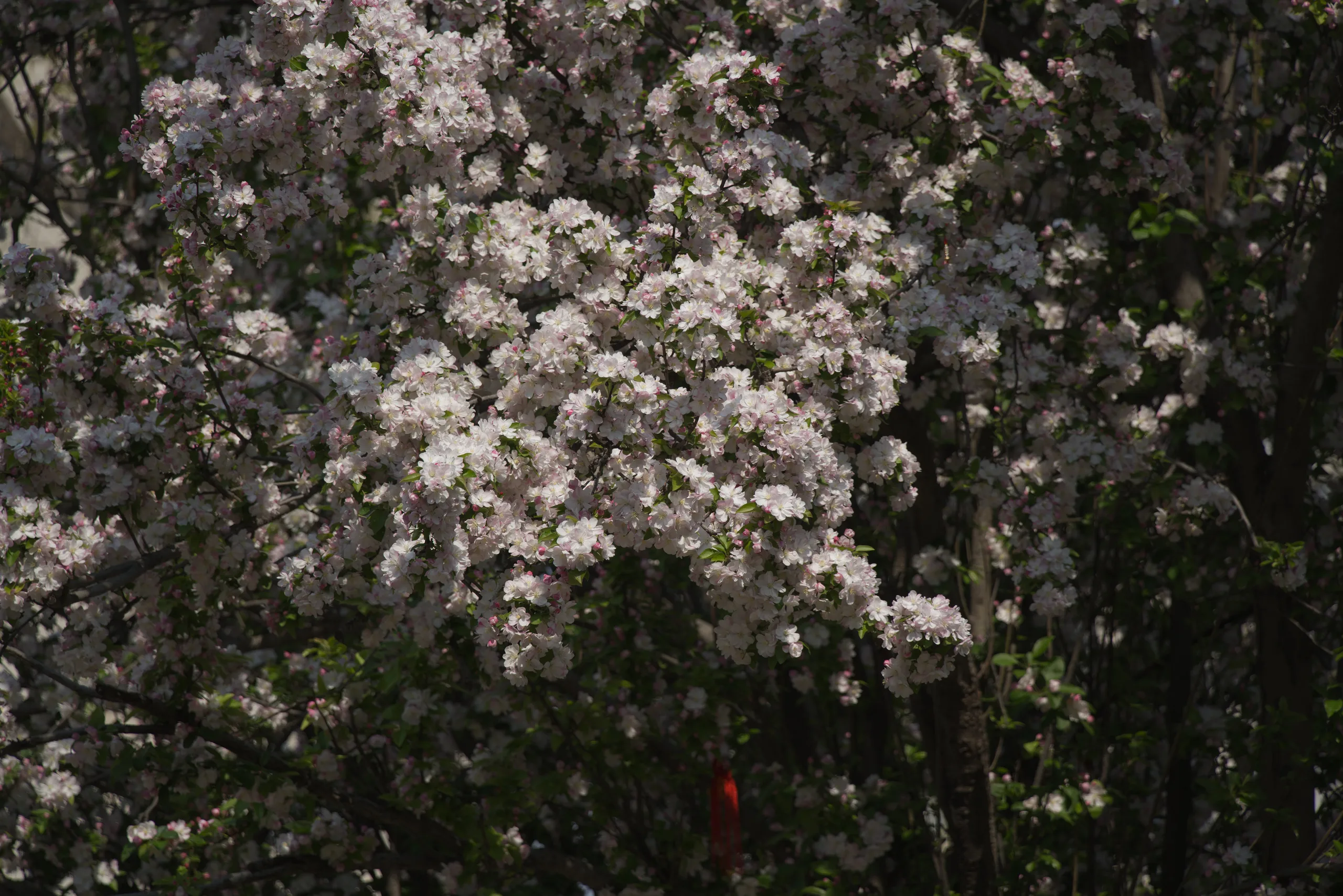 DSC03579