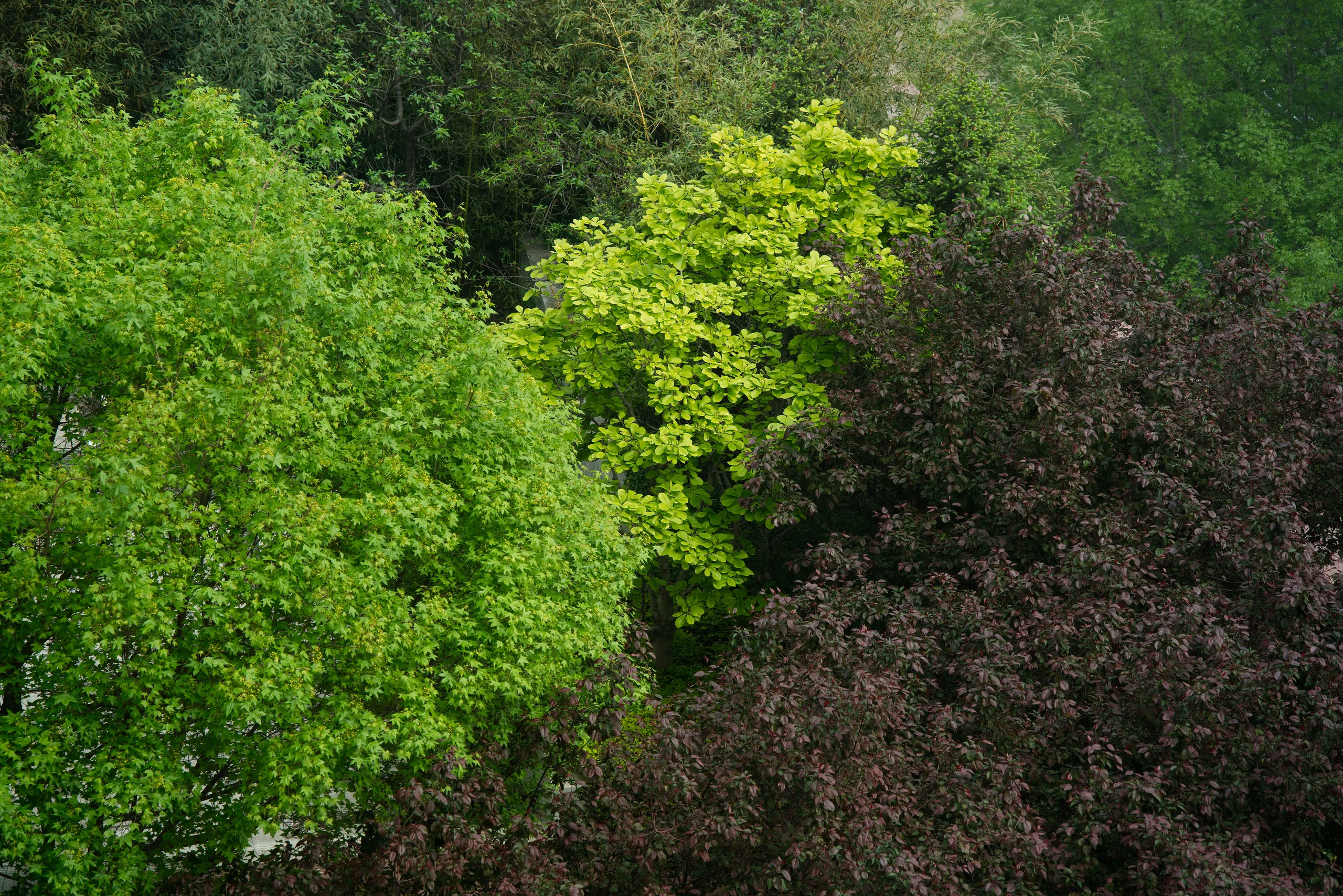 DSC04072