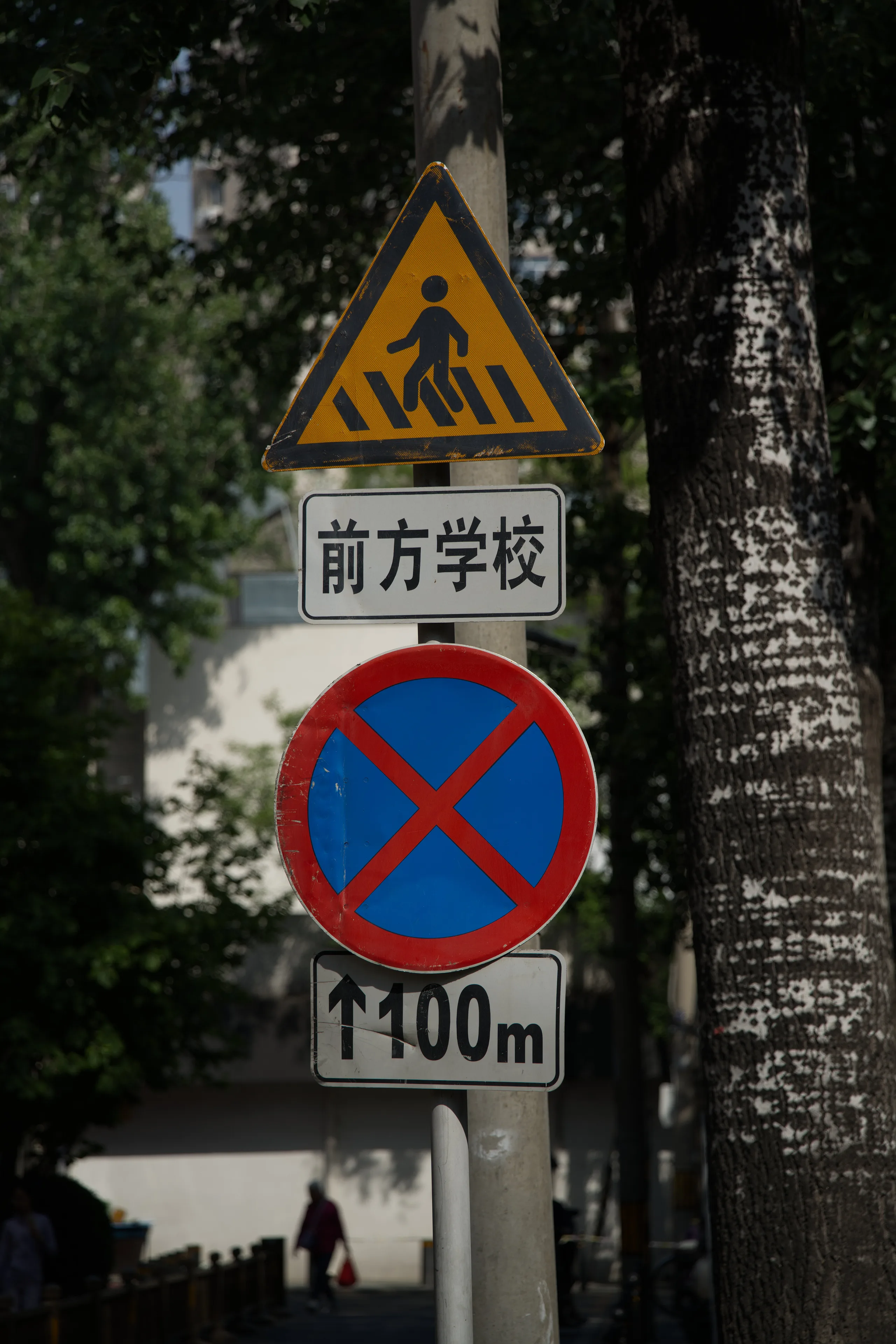 DSC04517