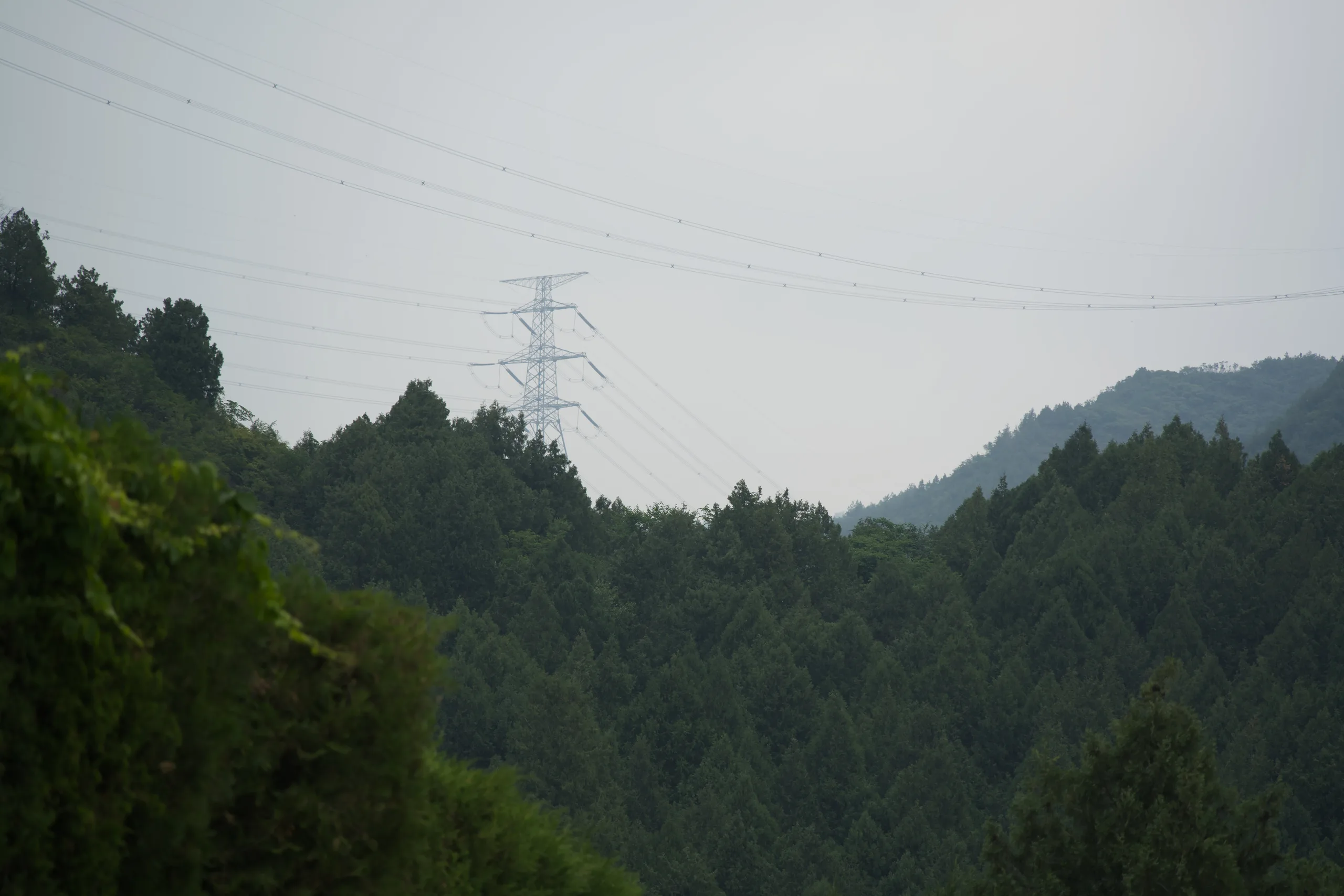 DSC05292