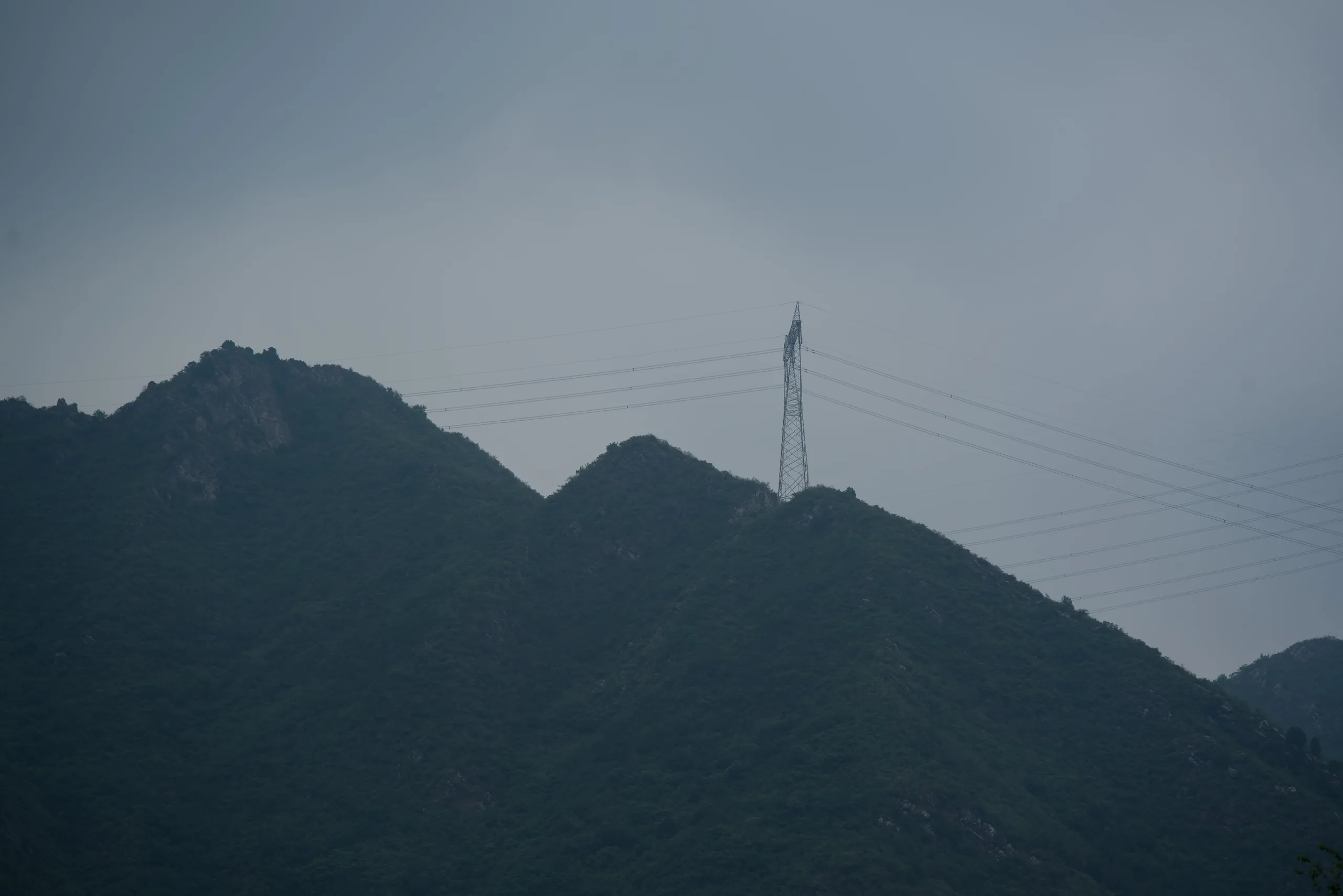 DSC05306