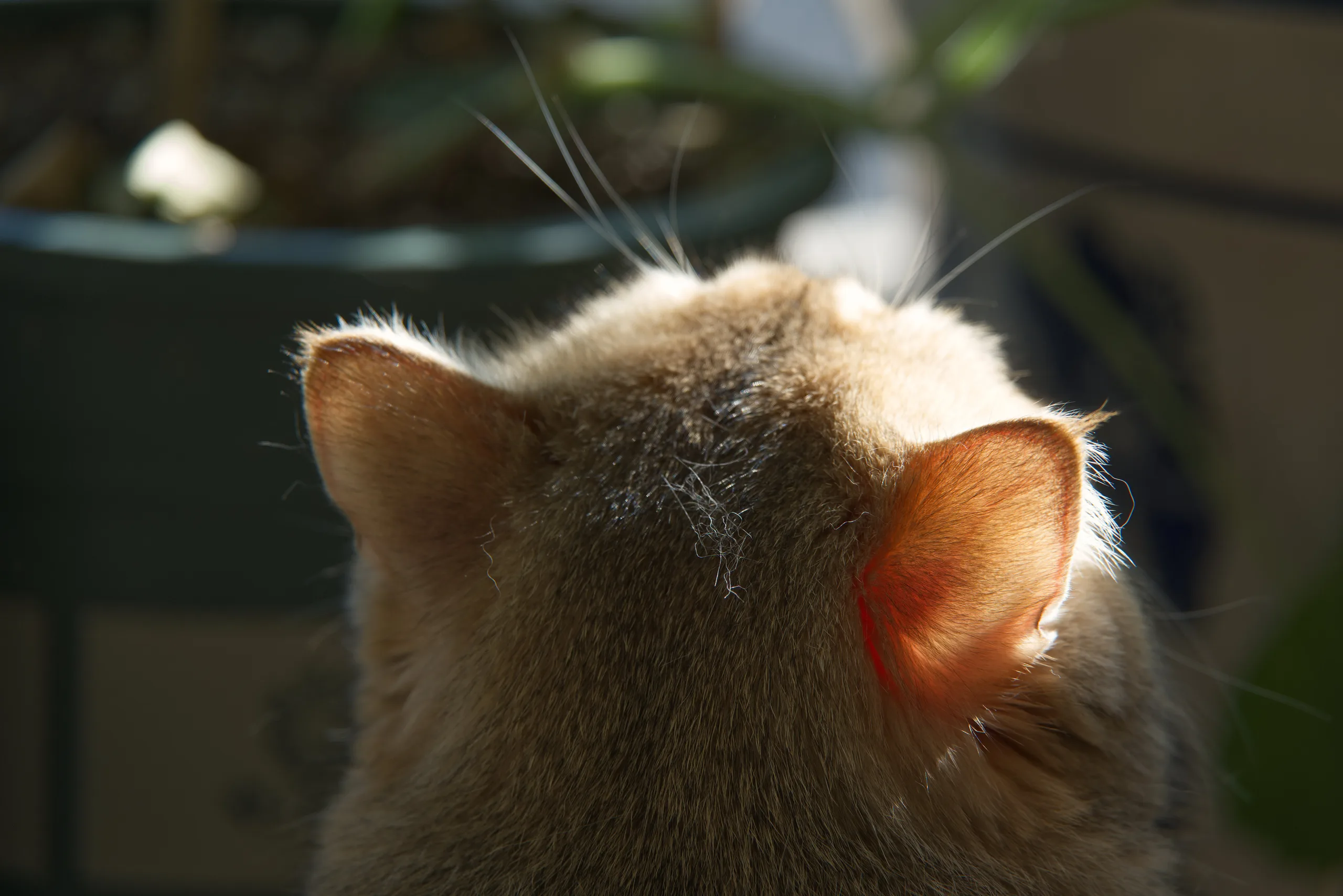 DSC05609
