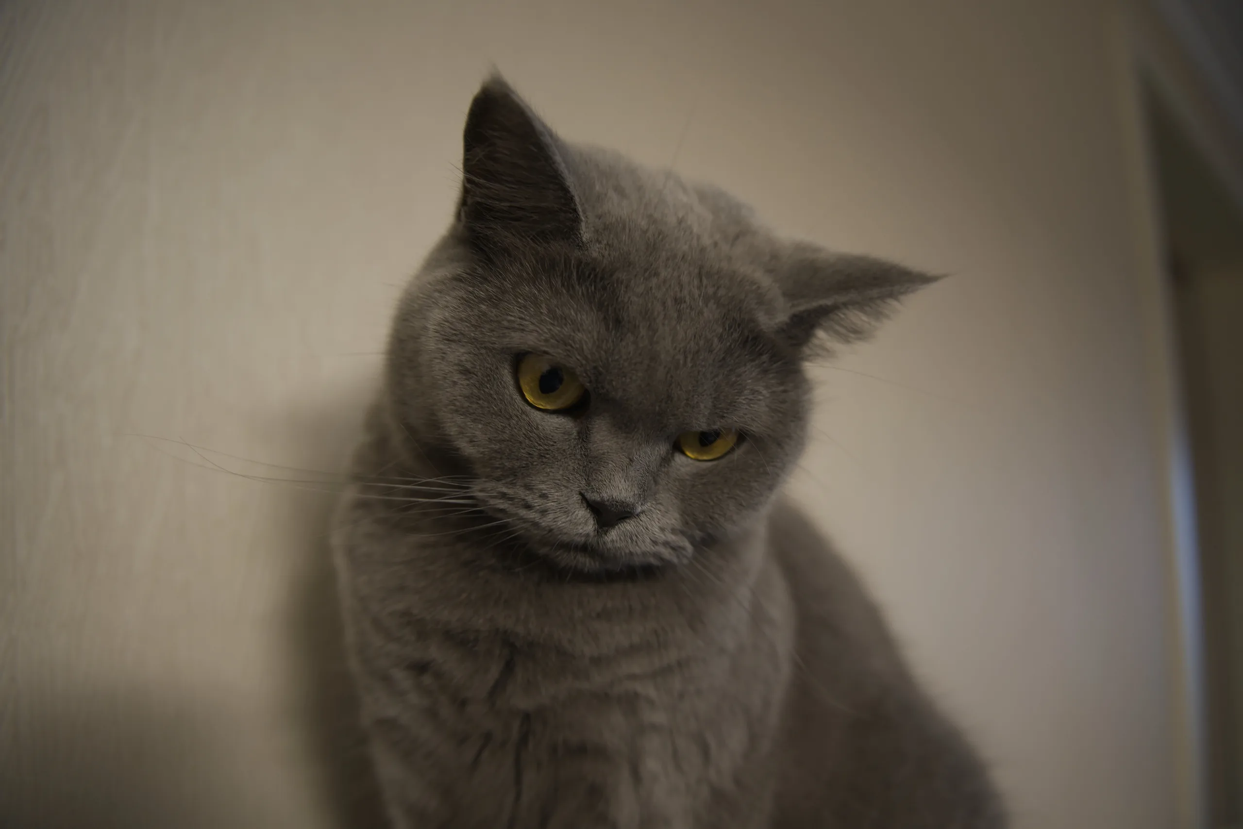 DSC05819
