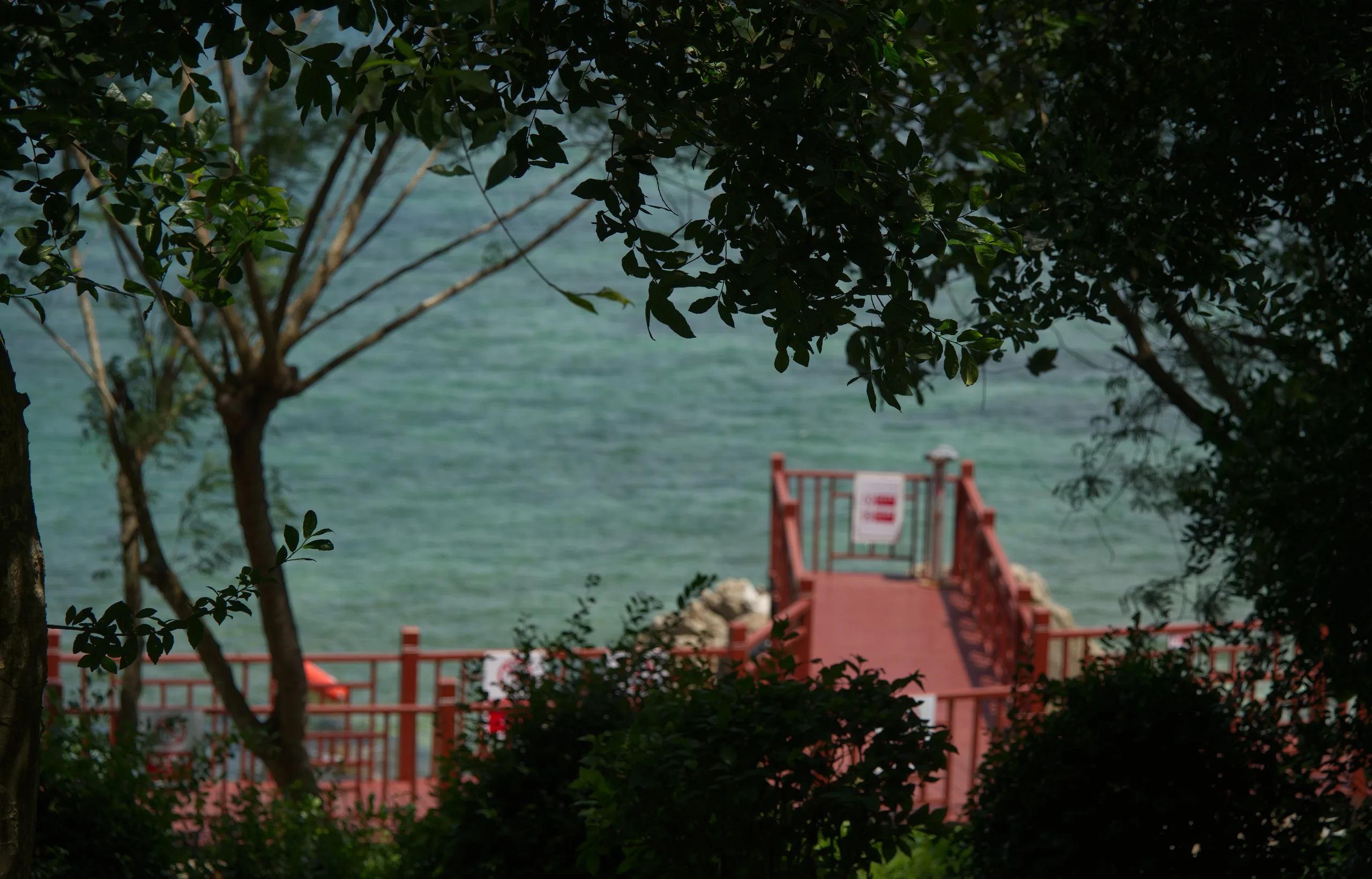 DSC06260
