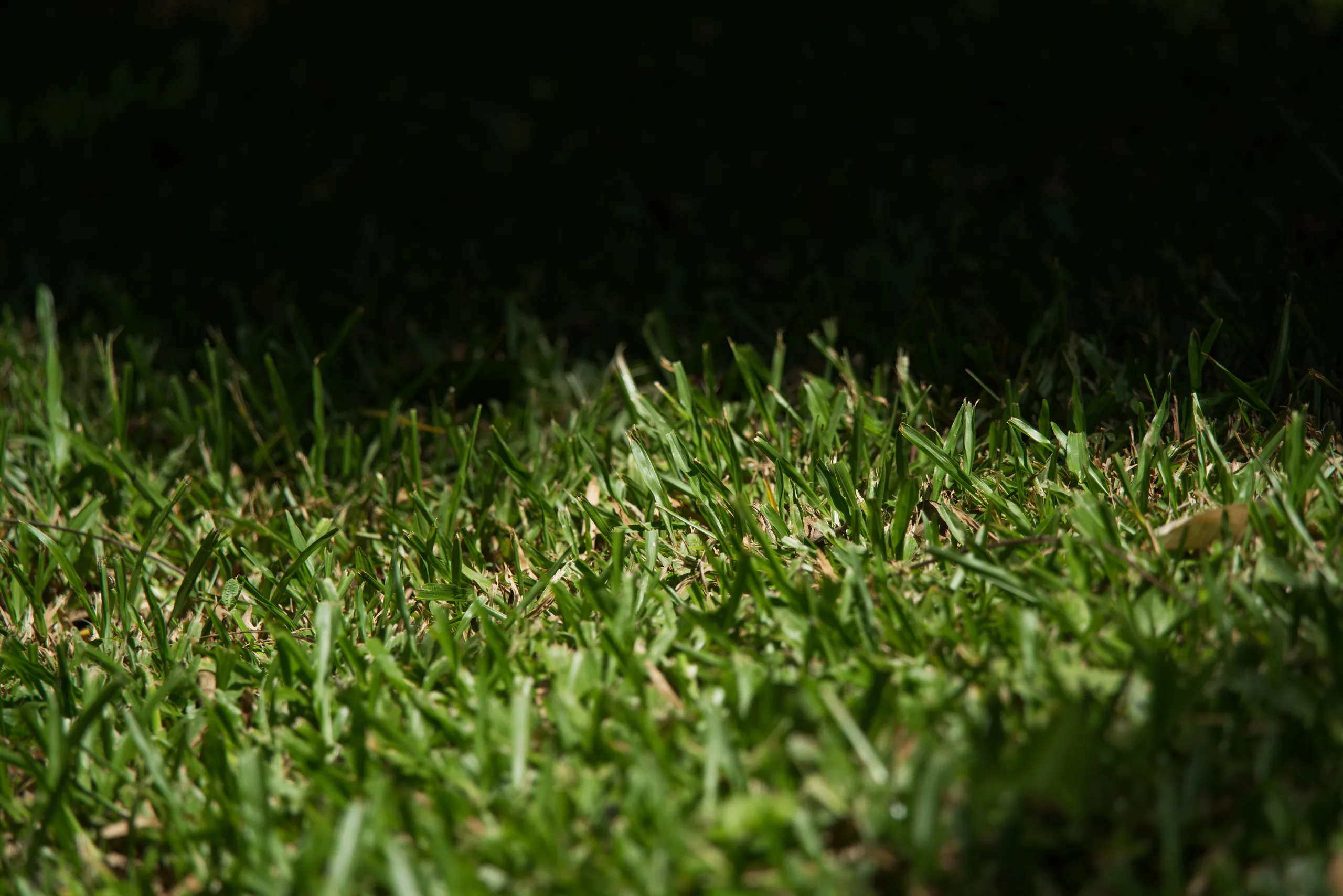 DSC06266
