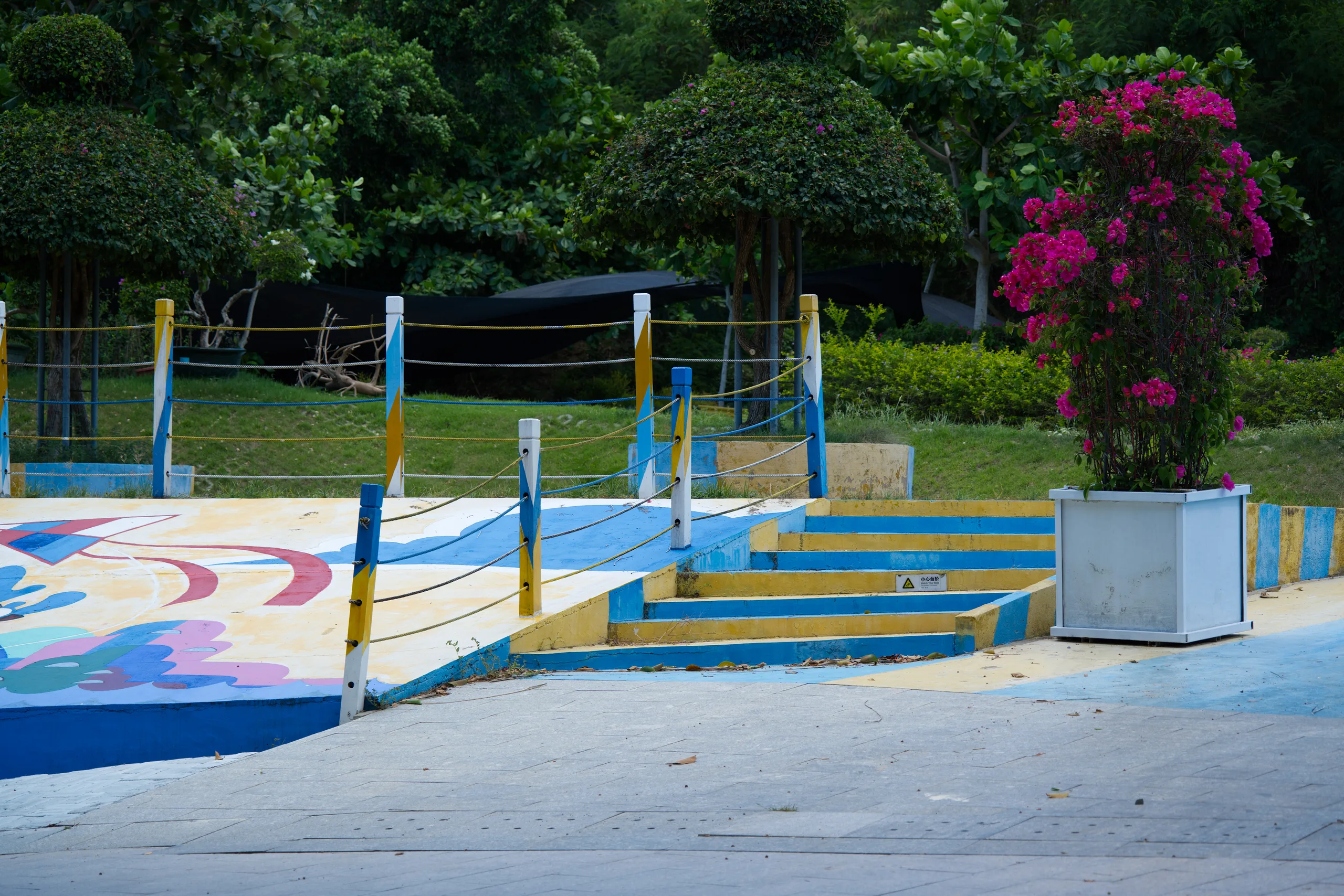 DSC06504