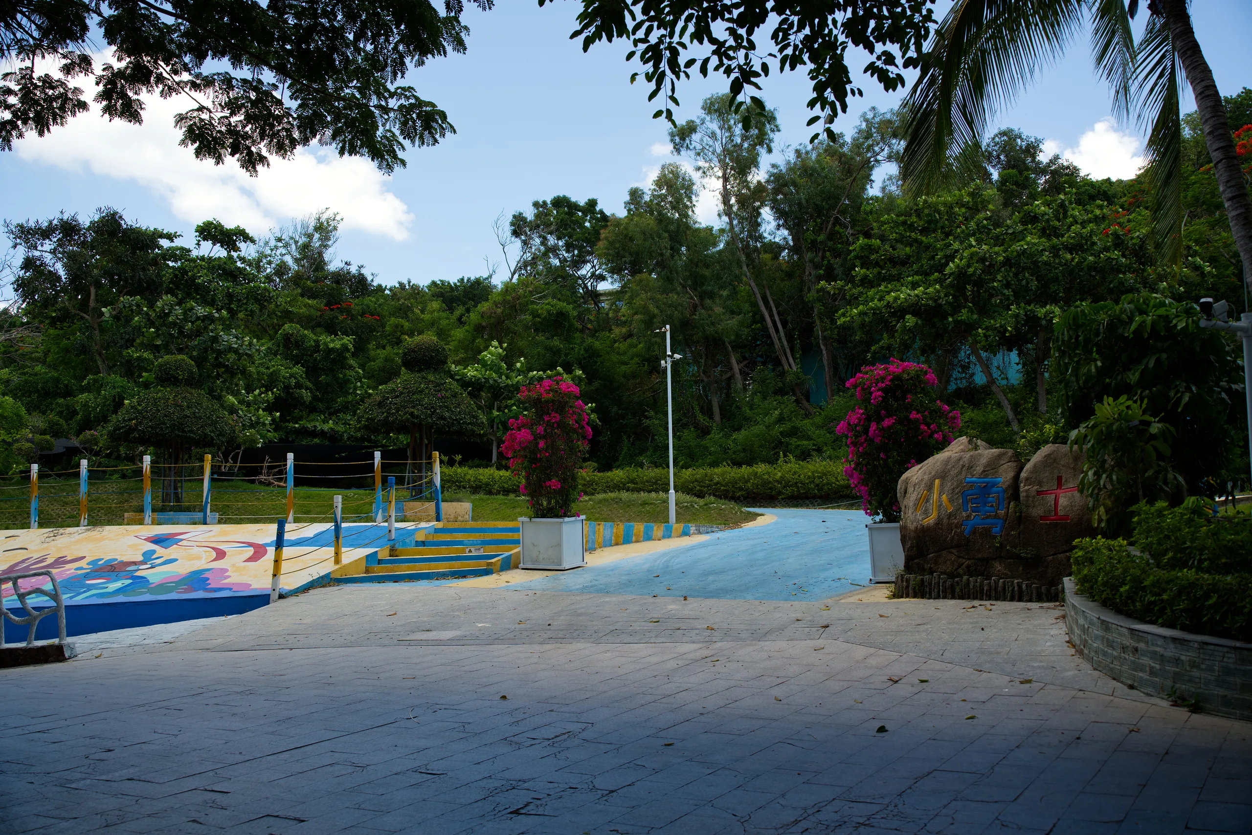 DSC06505