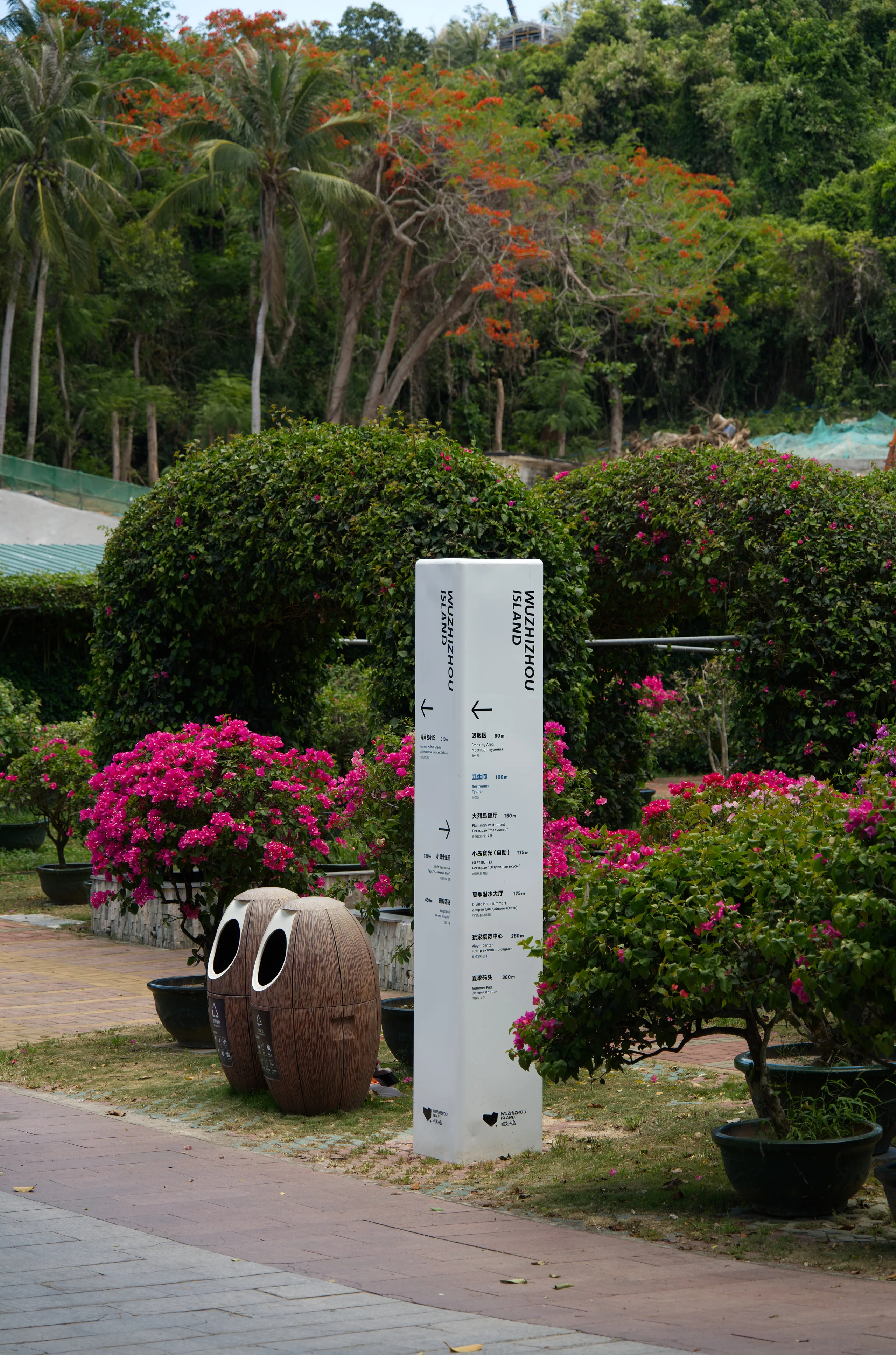 DSC06530