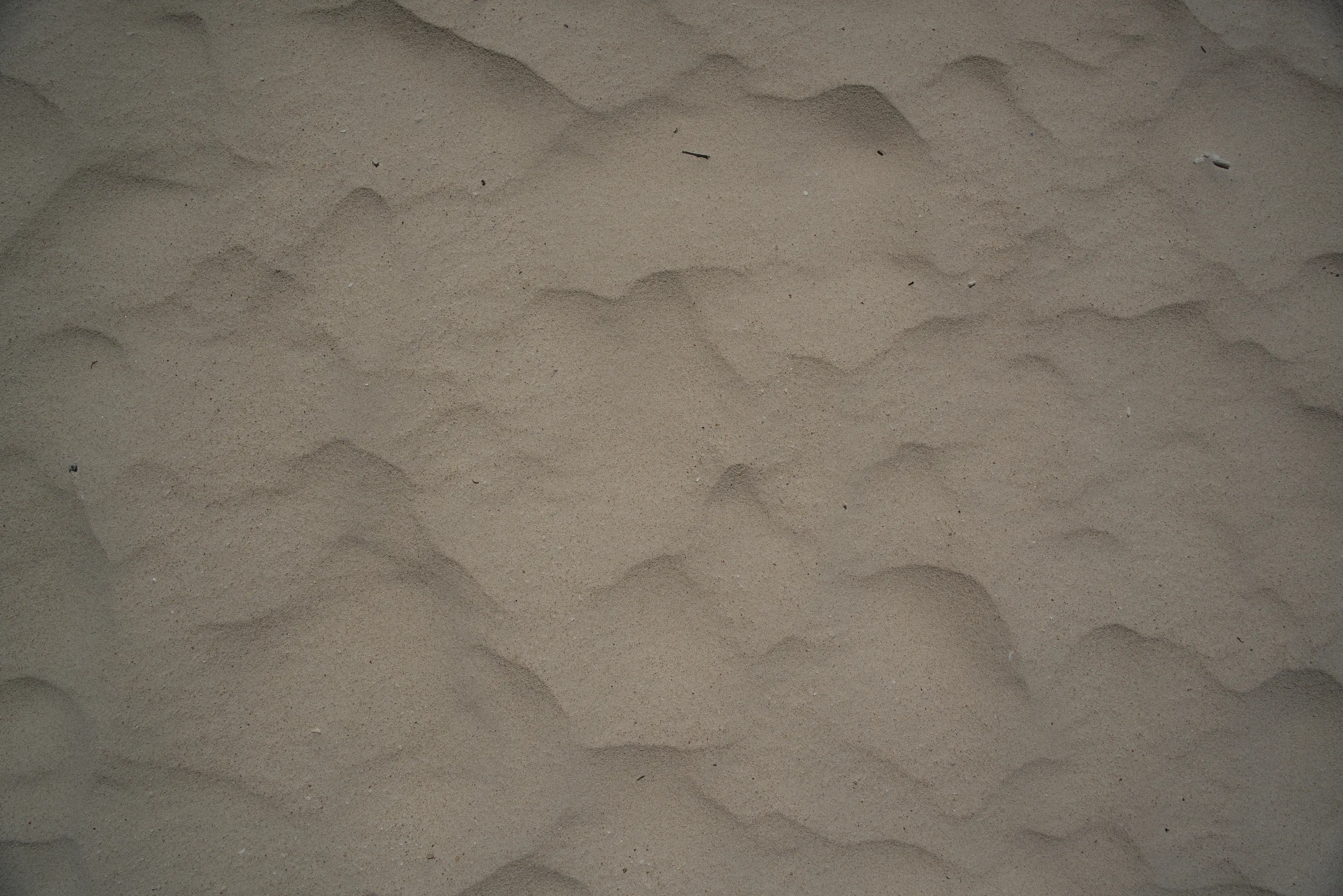 DSC06580
