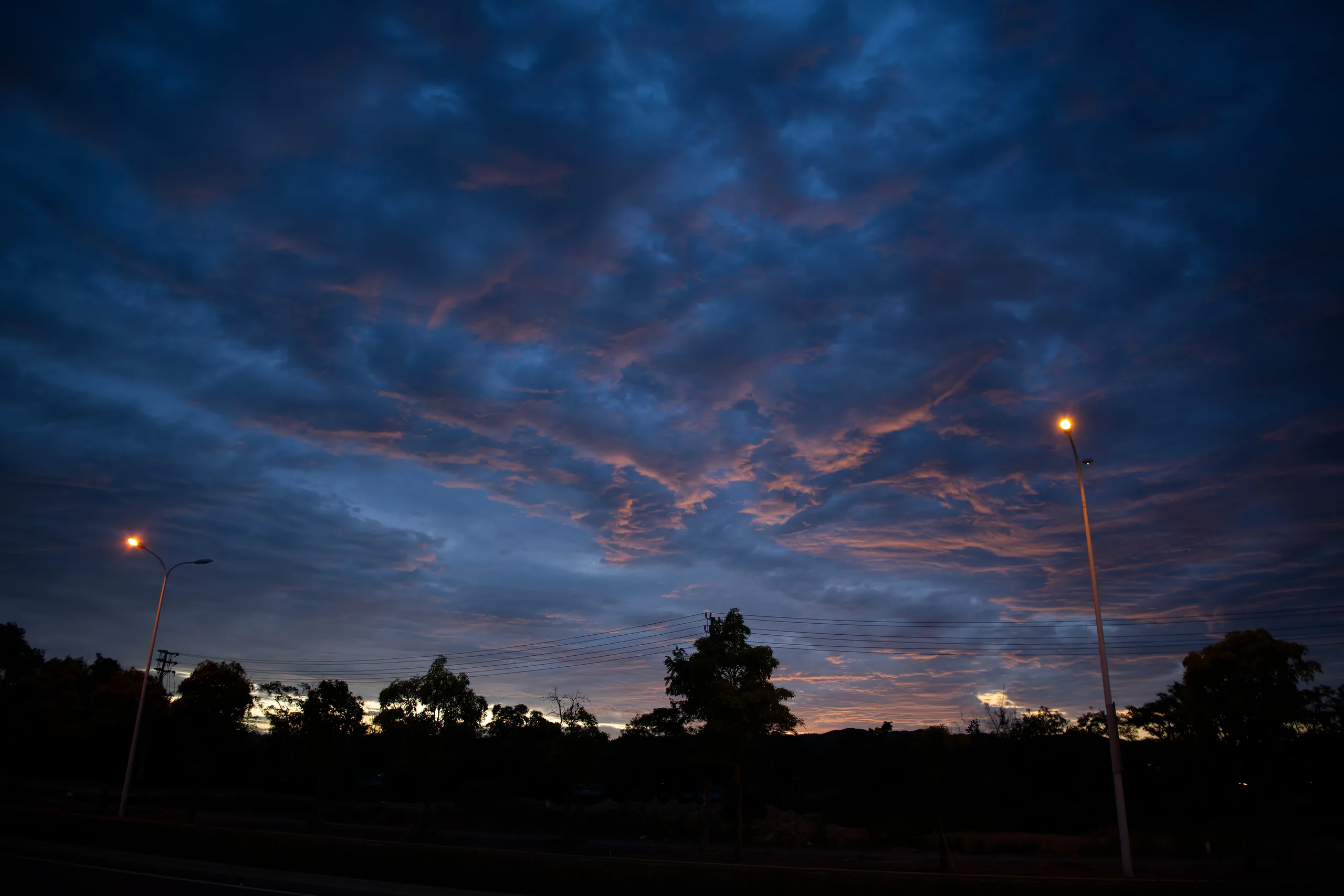 DSC06730