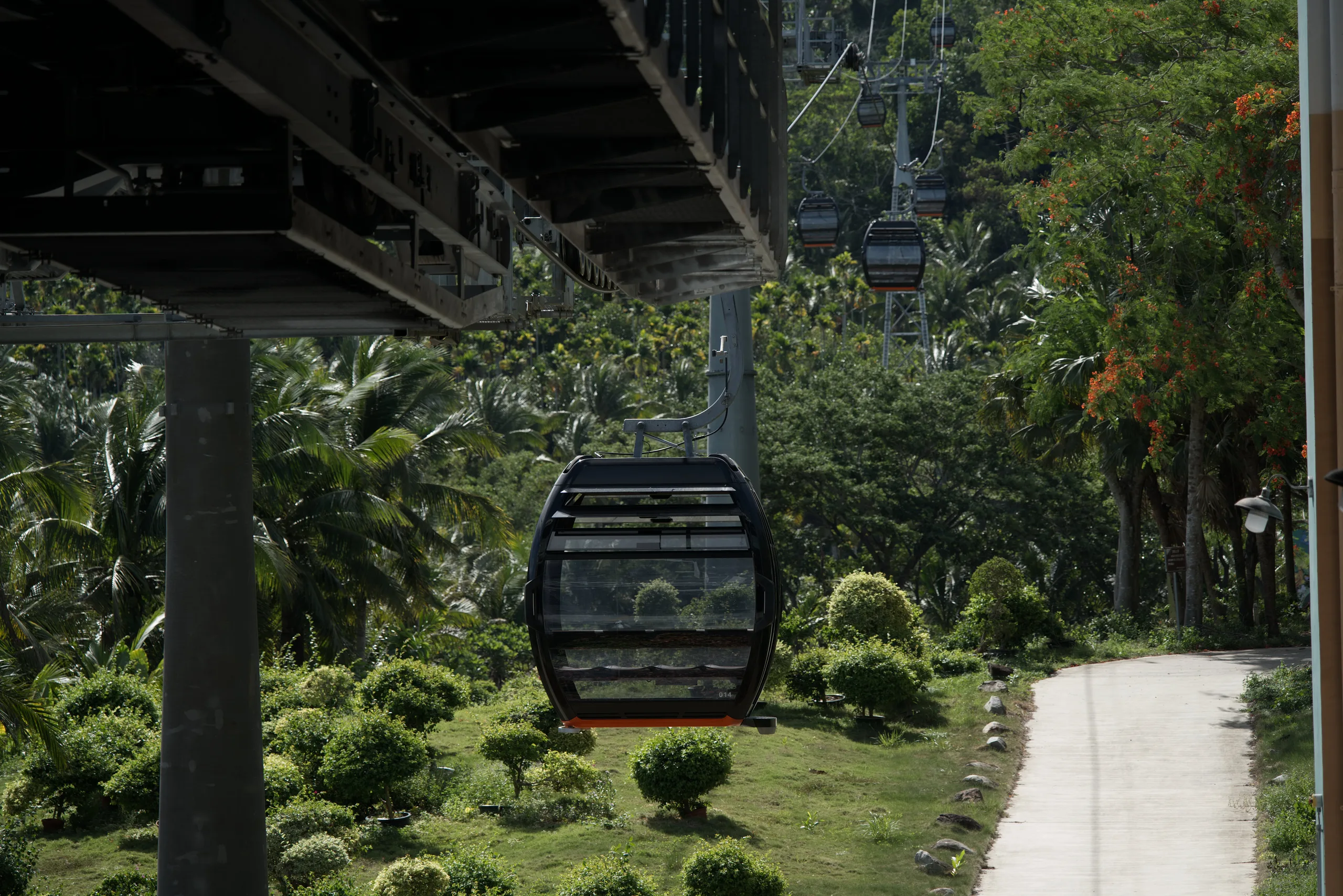 DSC06939