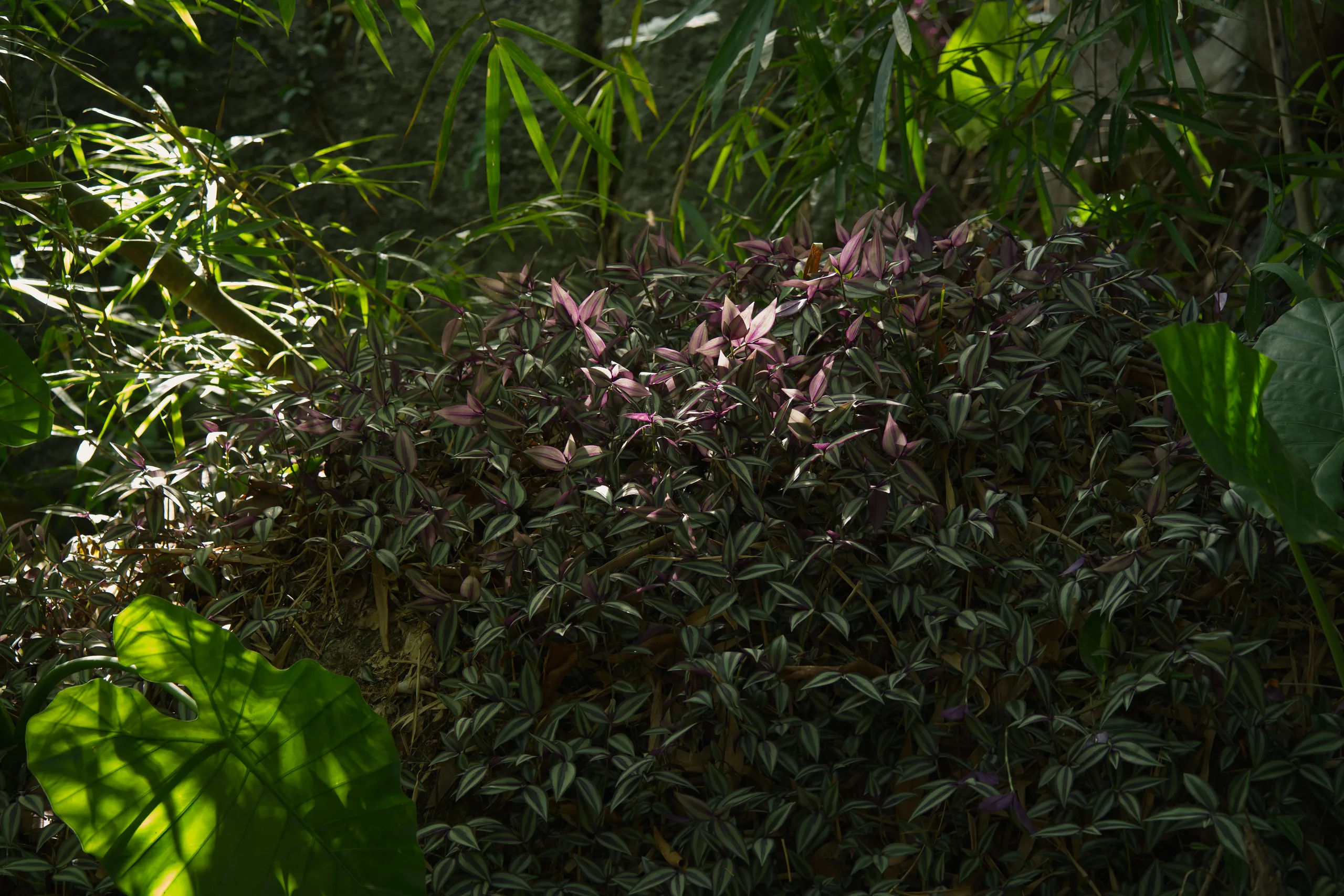 DSC07059