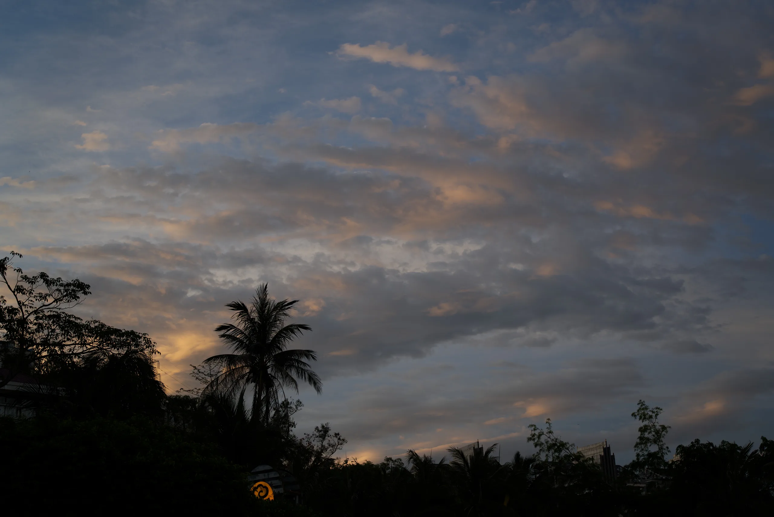 DSC07419