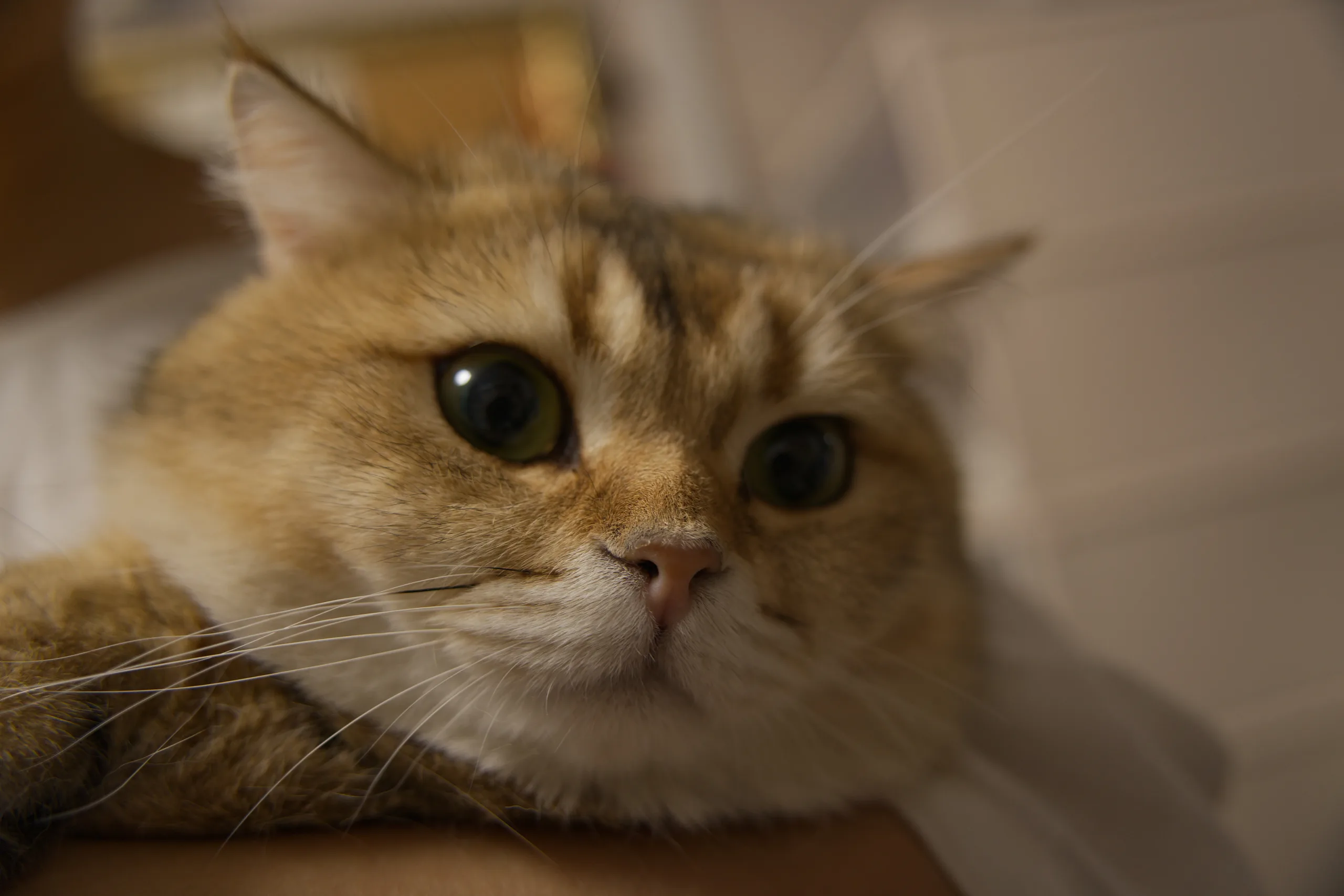 DSC07765