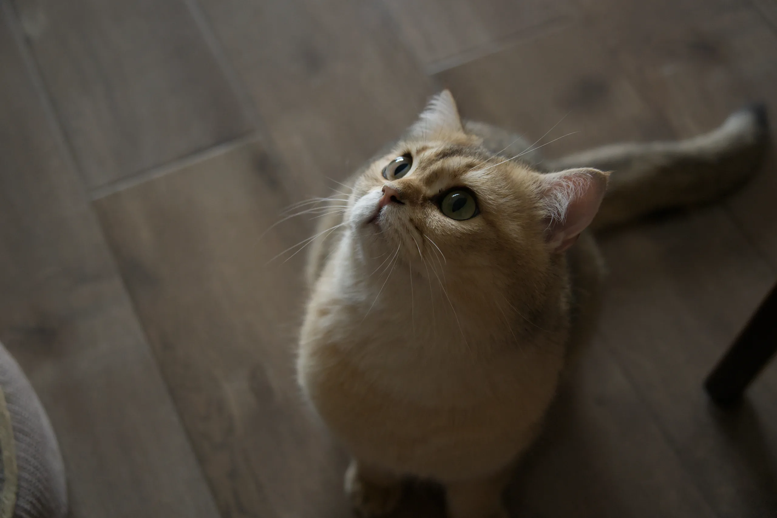 DSC07795