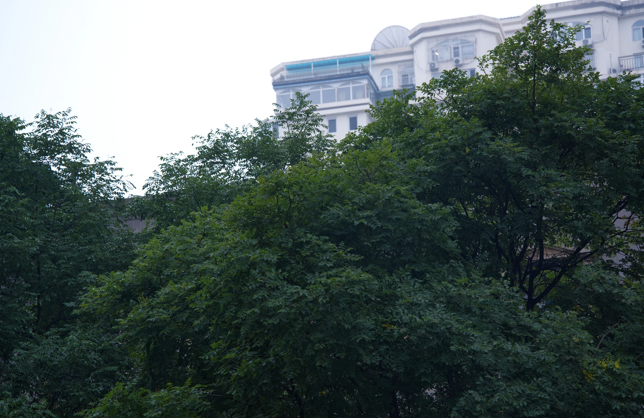 DSC08082