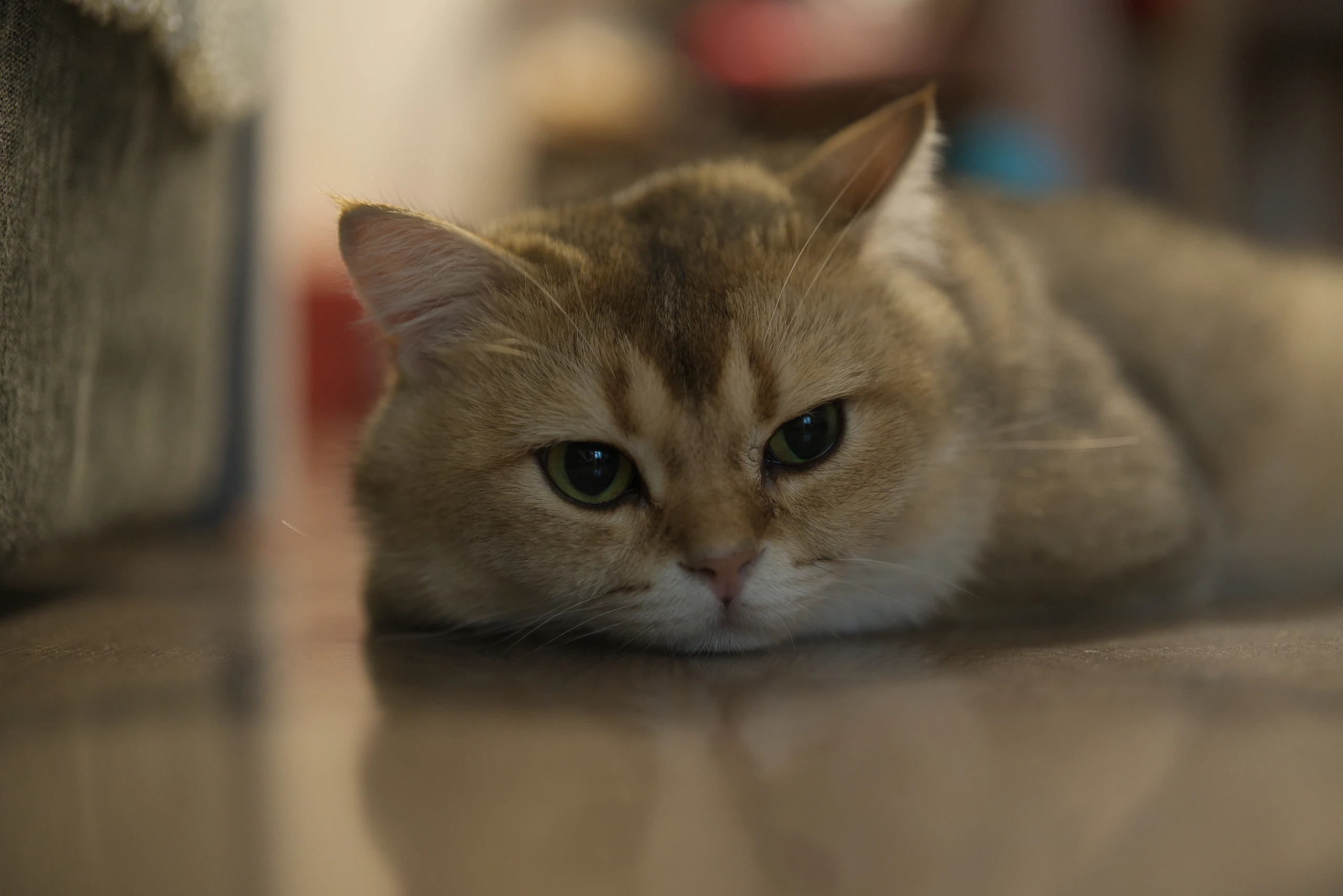 DSC09160