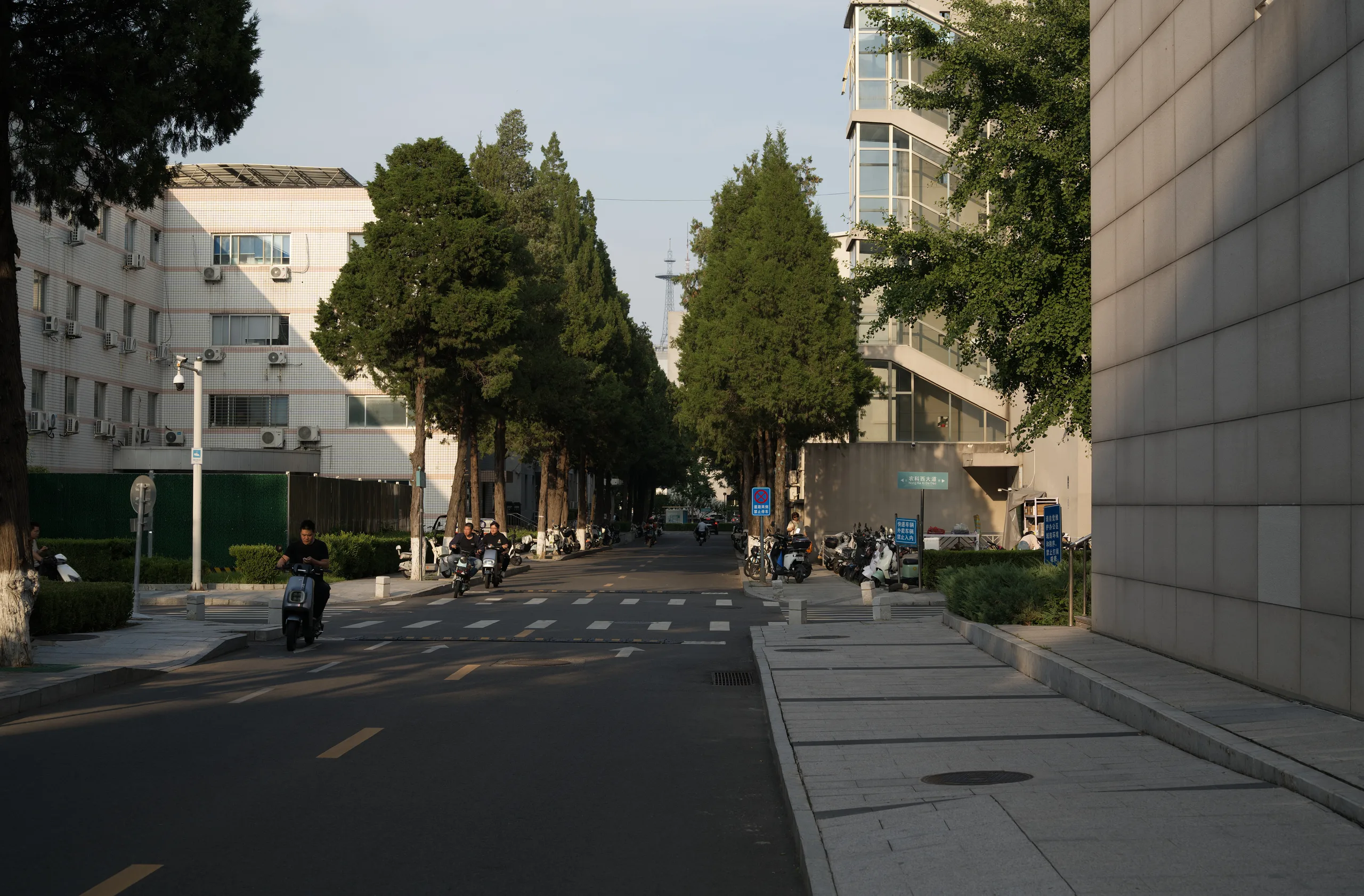 DSC09363