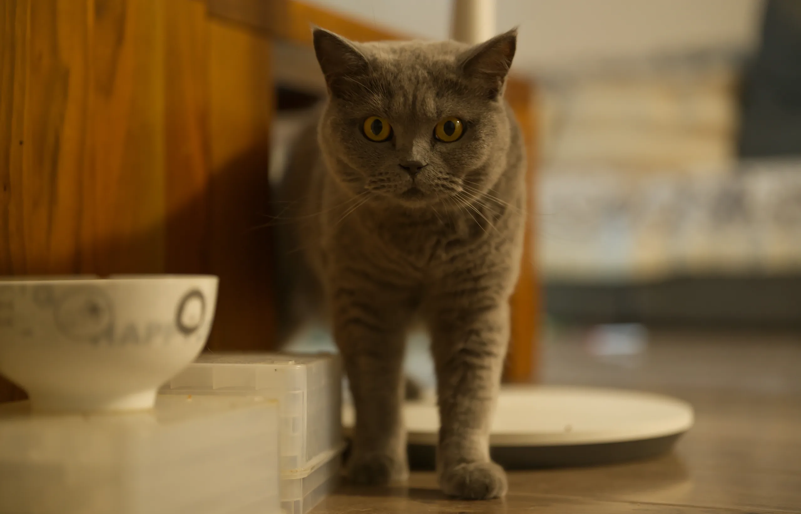 DSC09405