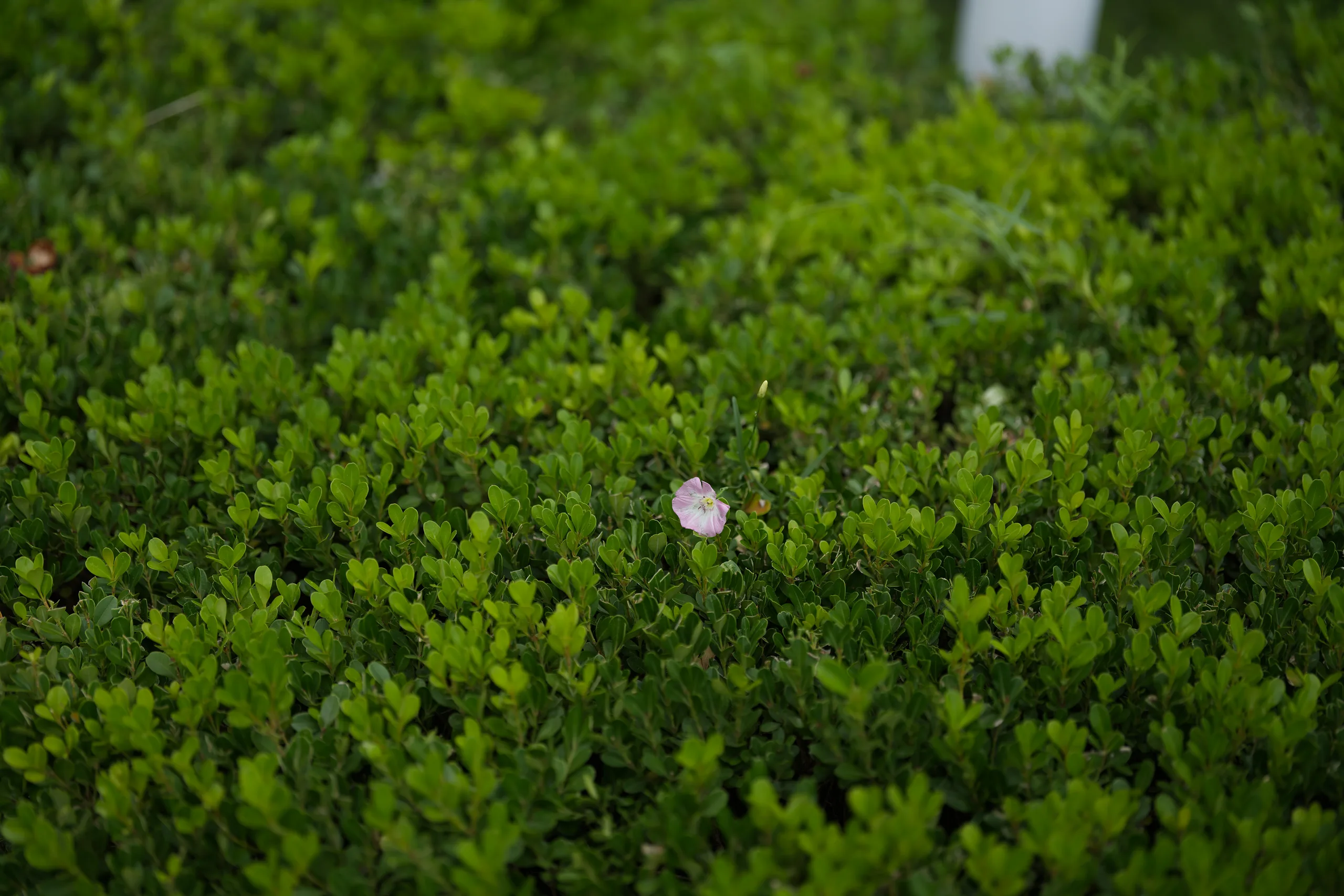 DSC09561