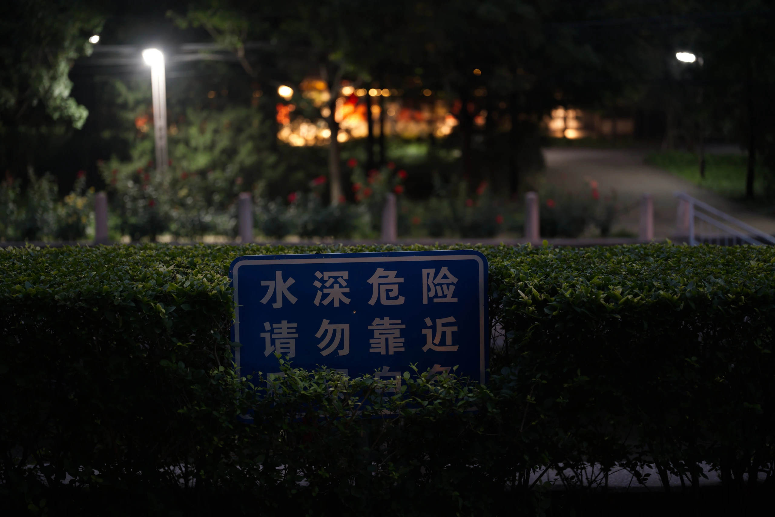 DSC09860