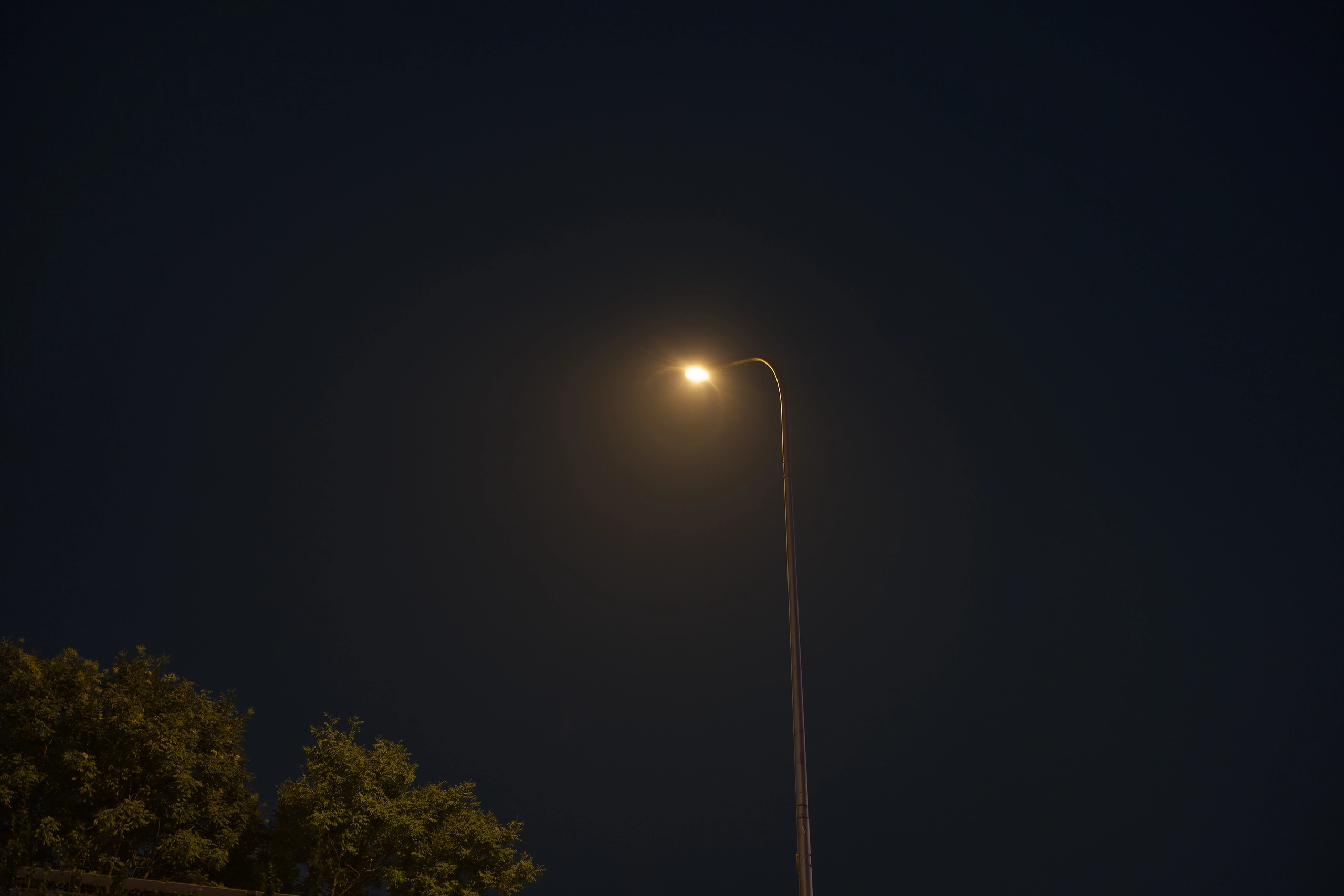 DSC09914