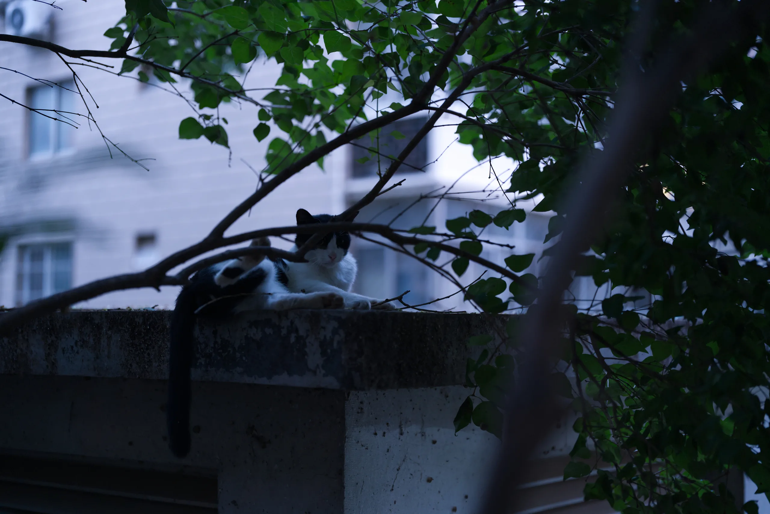 DSC01119