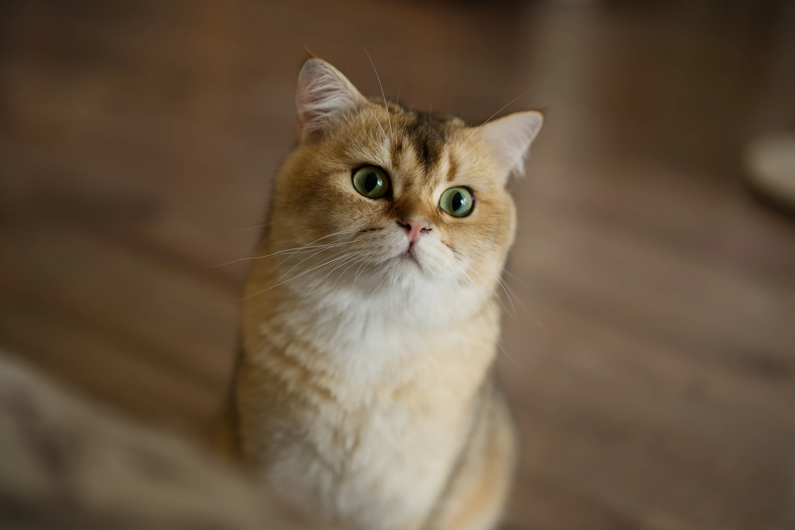 DSC01137