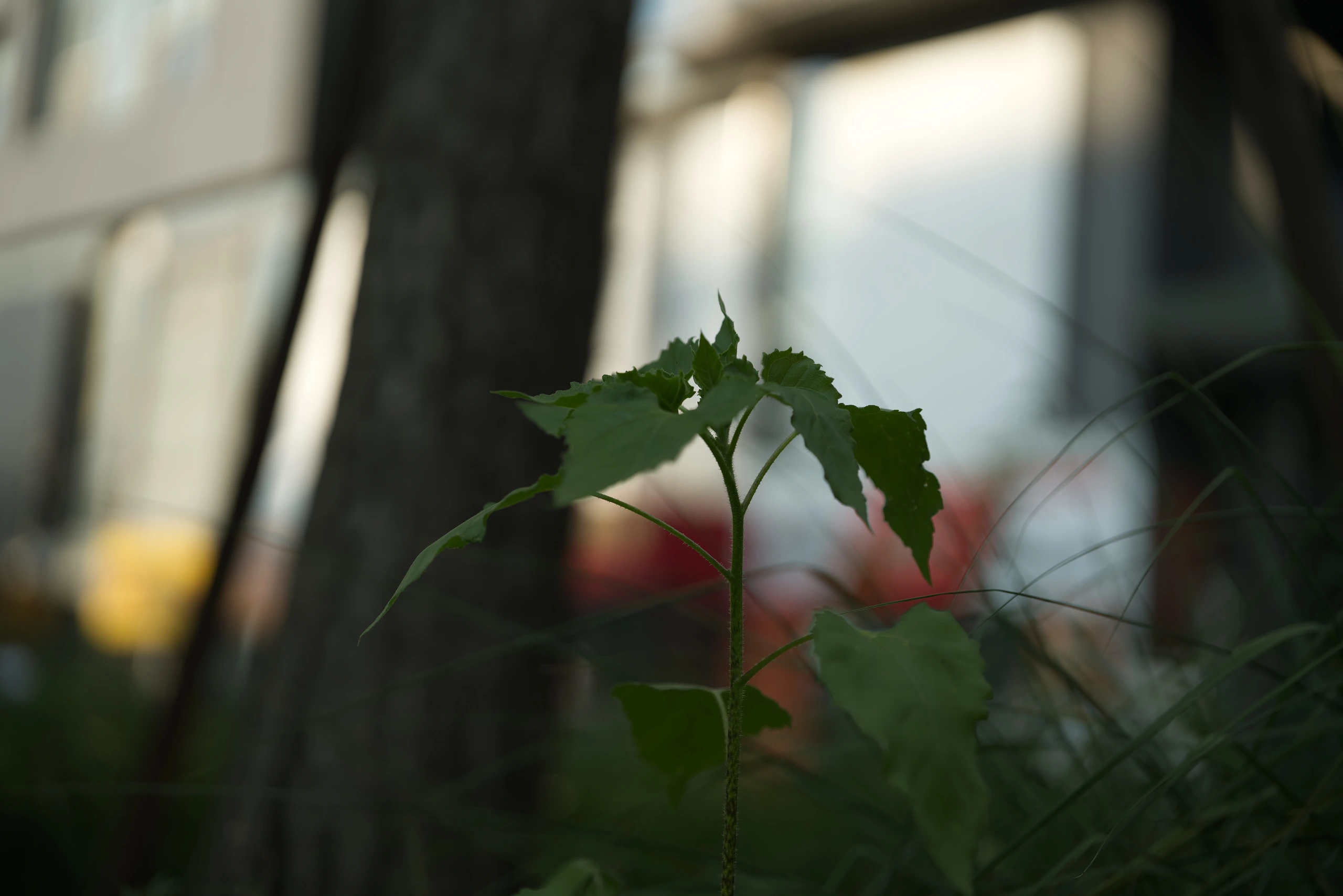 DSC01348
