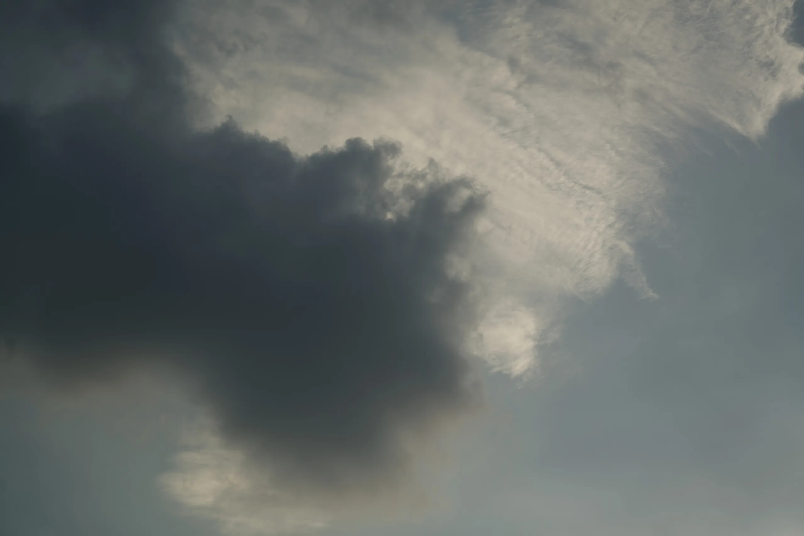 DSC01539