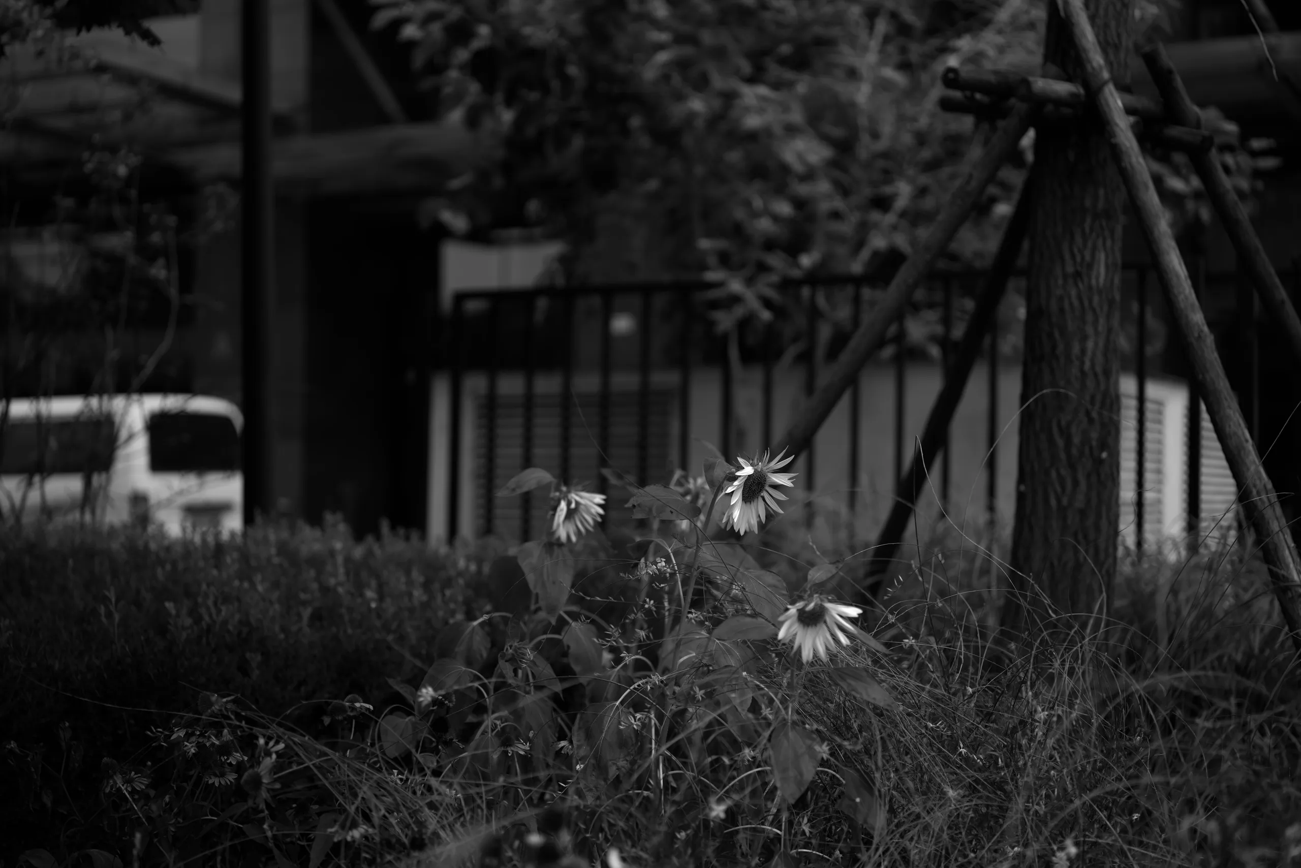 DSC01685