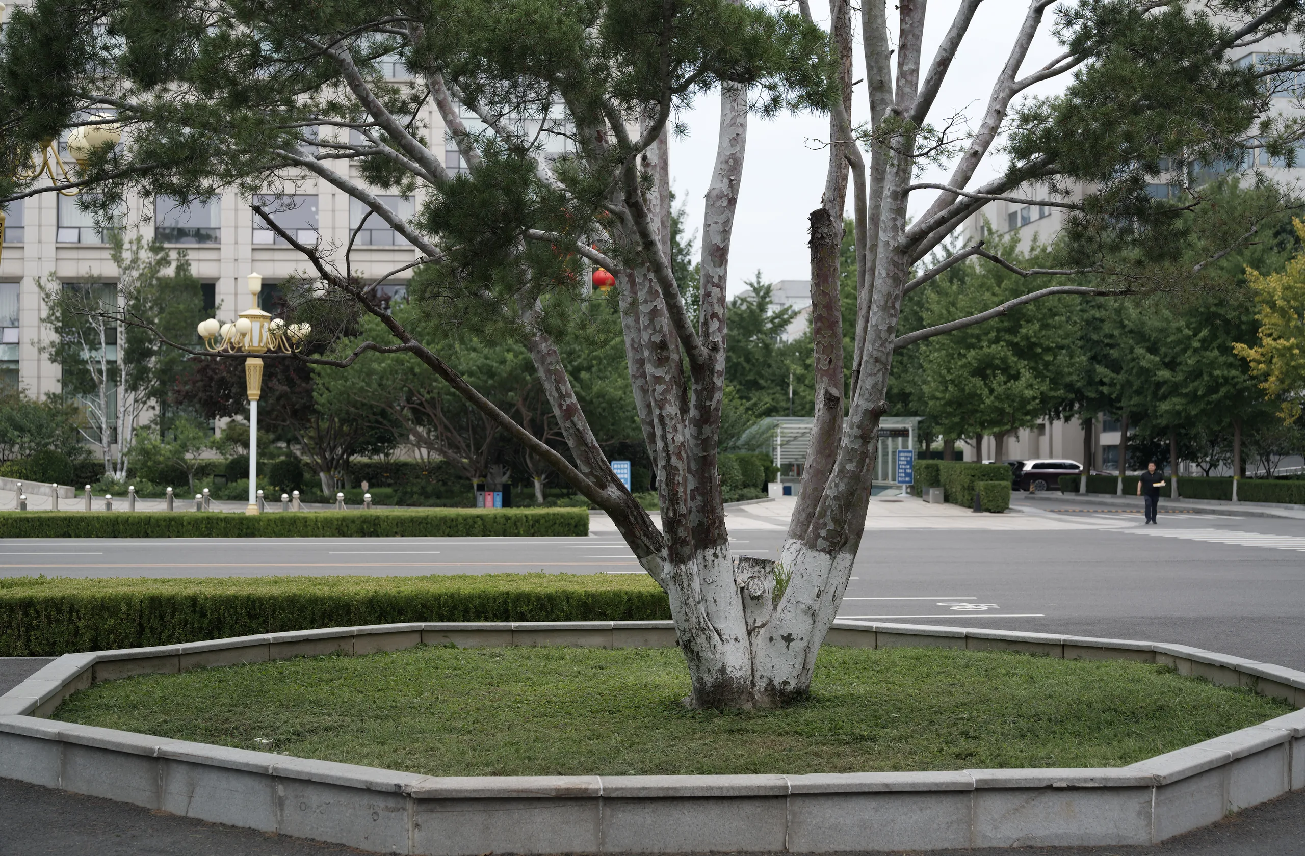 DSC02171