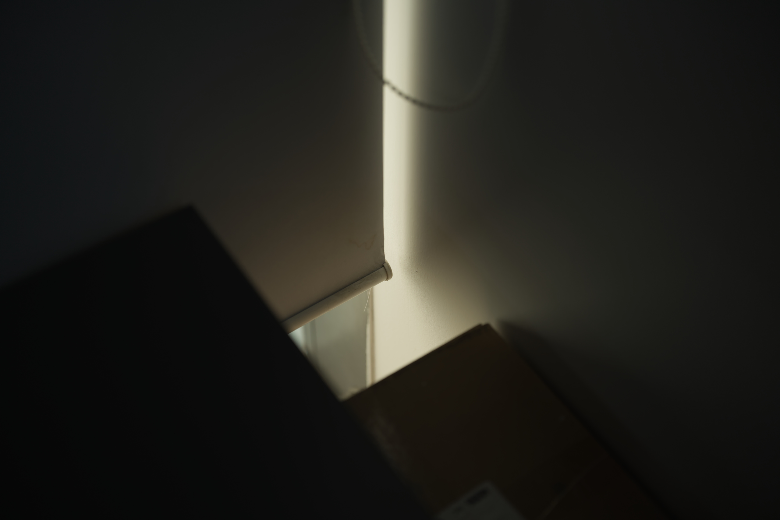DSC02202