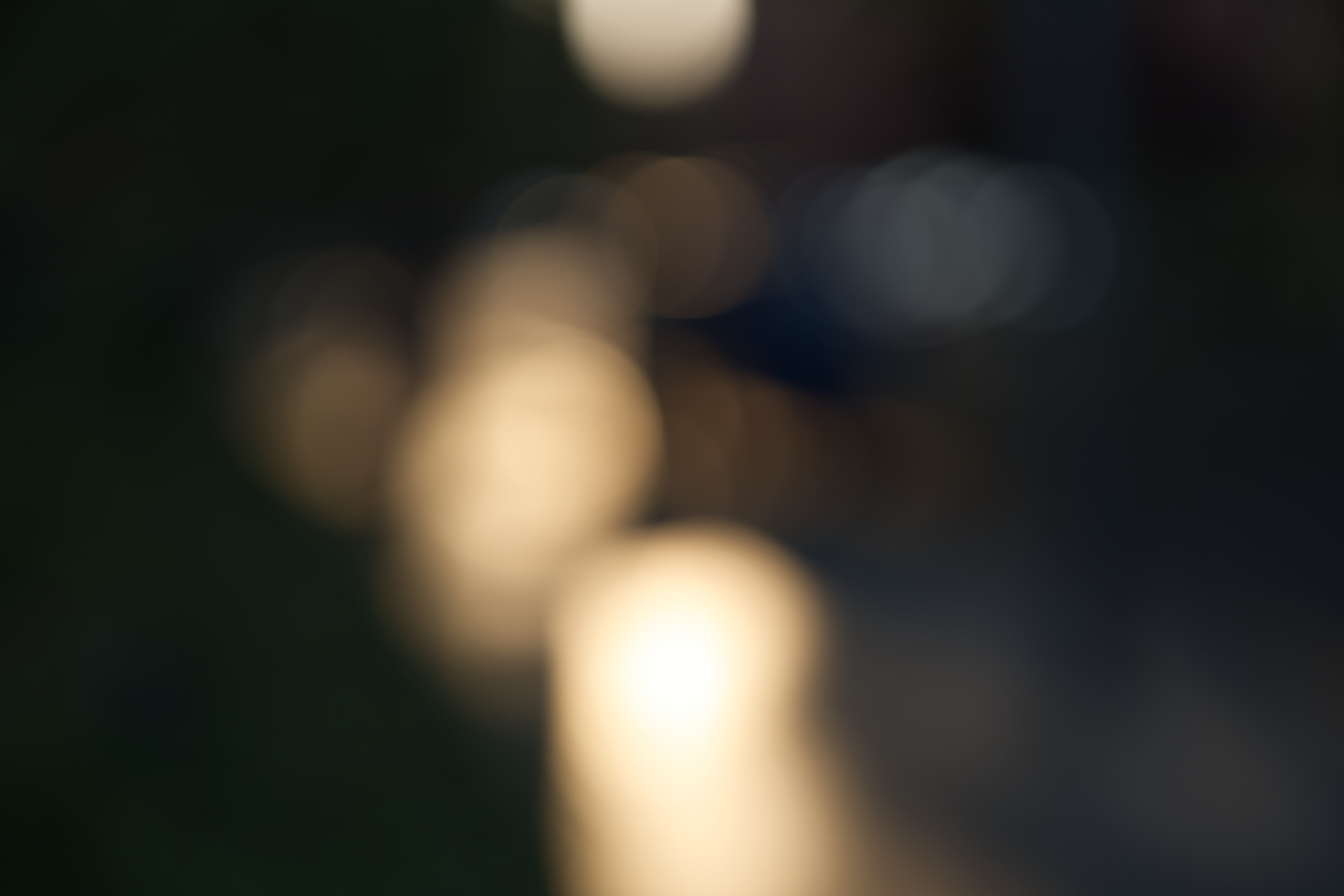 DSC02550