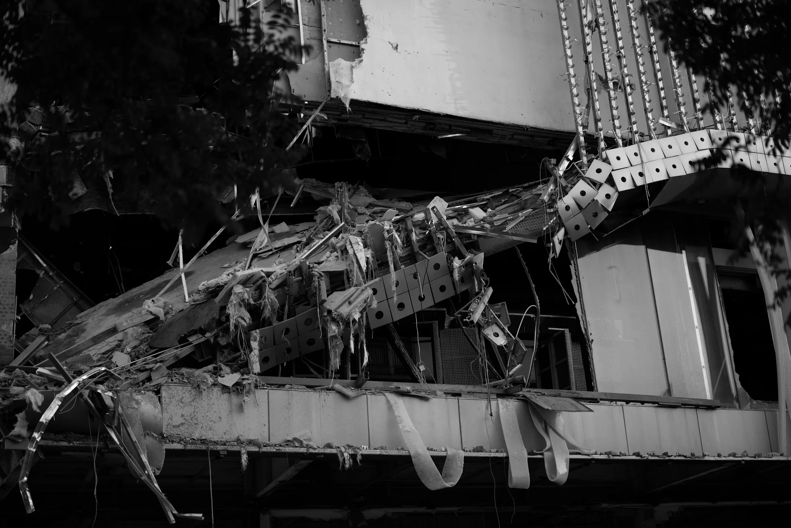 DSC02561 Bw