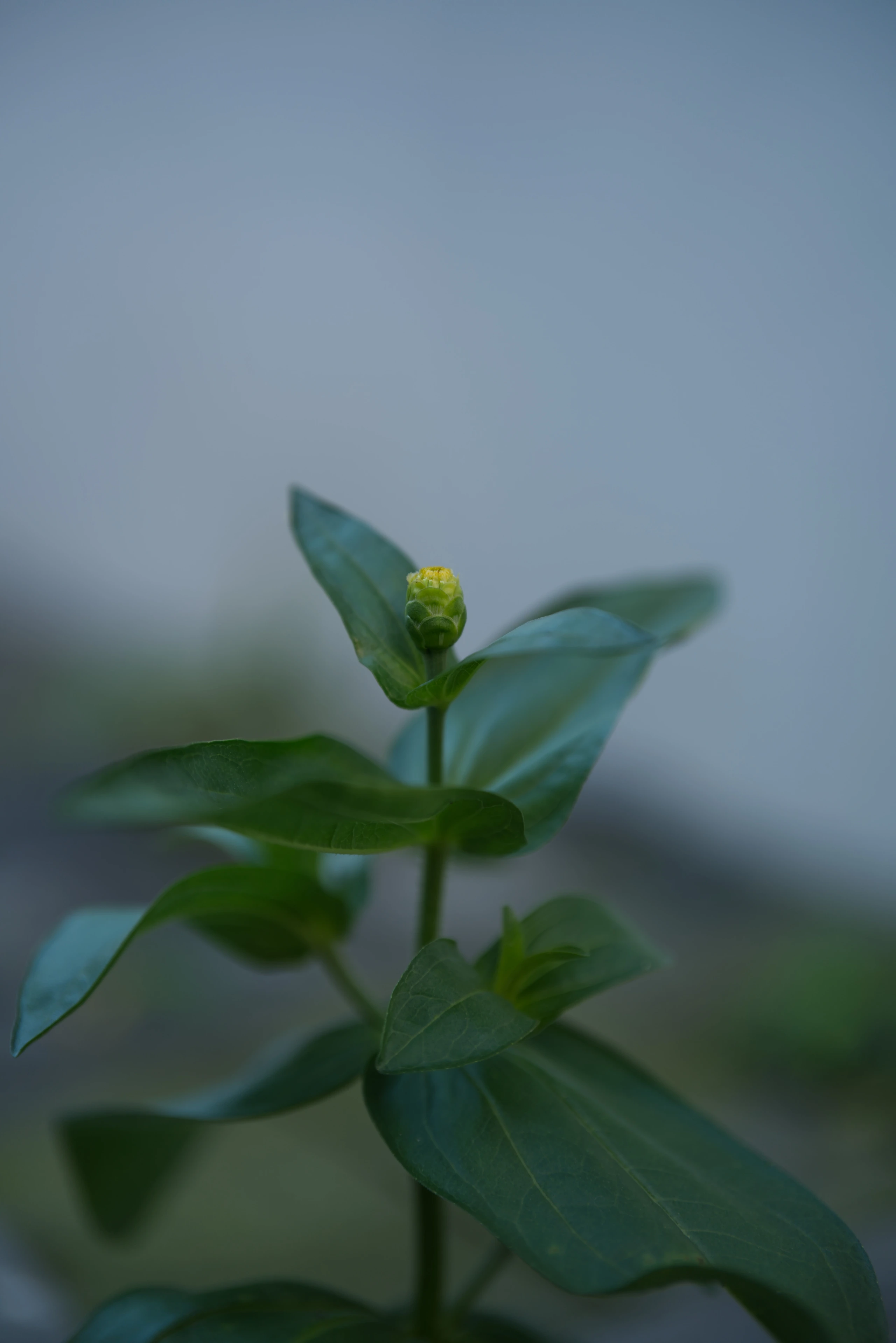 DSC02591