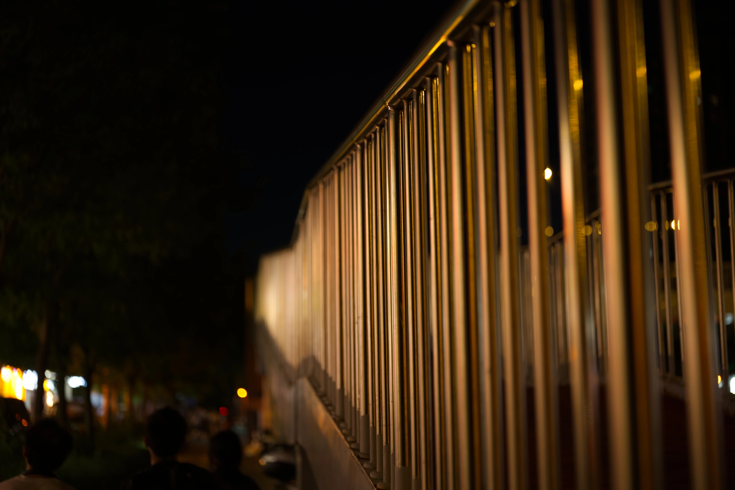 DSC02905