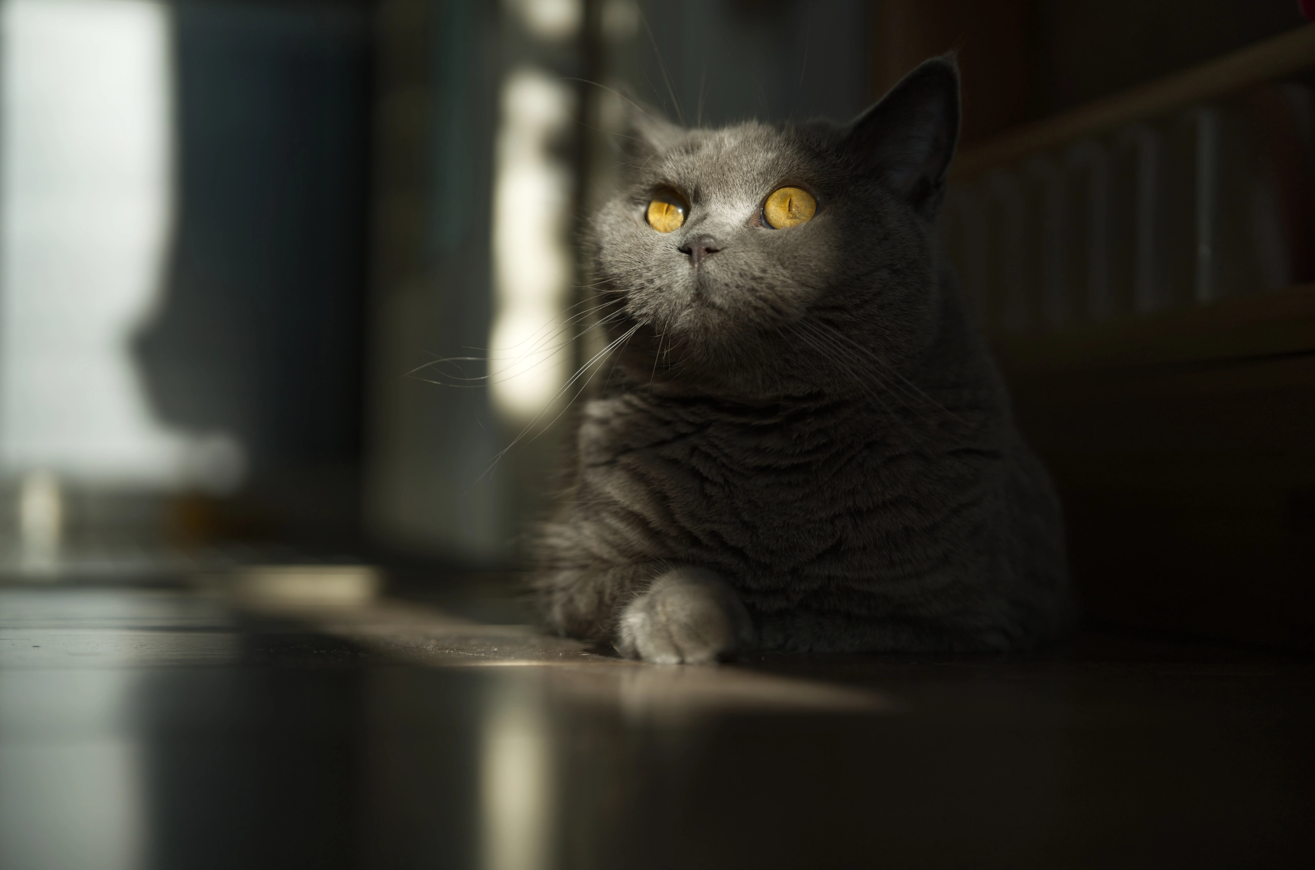 DSC03050
