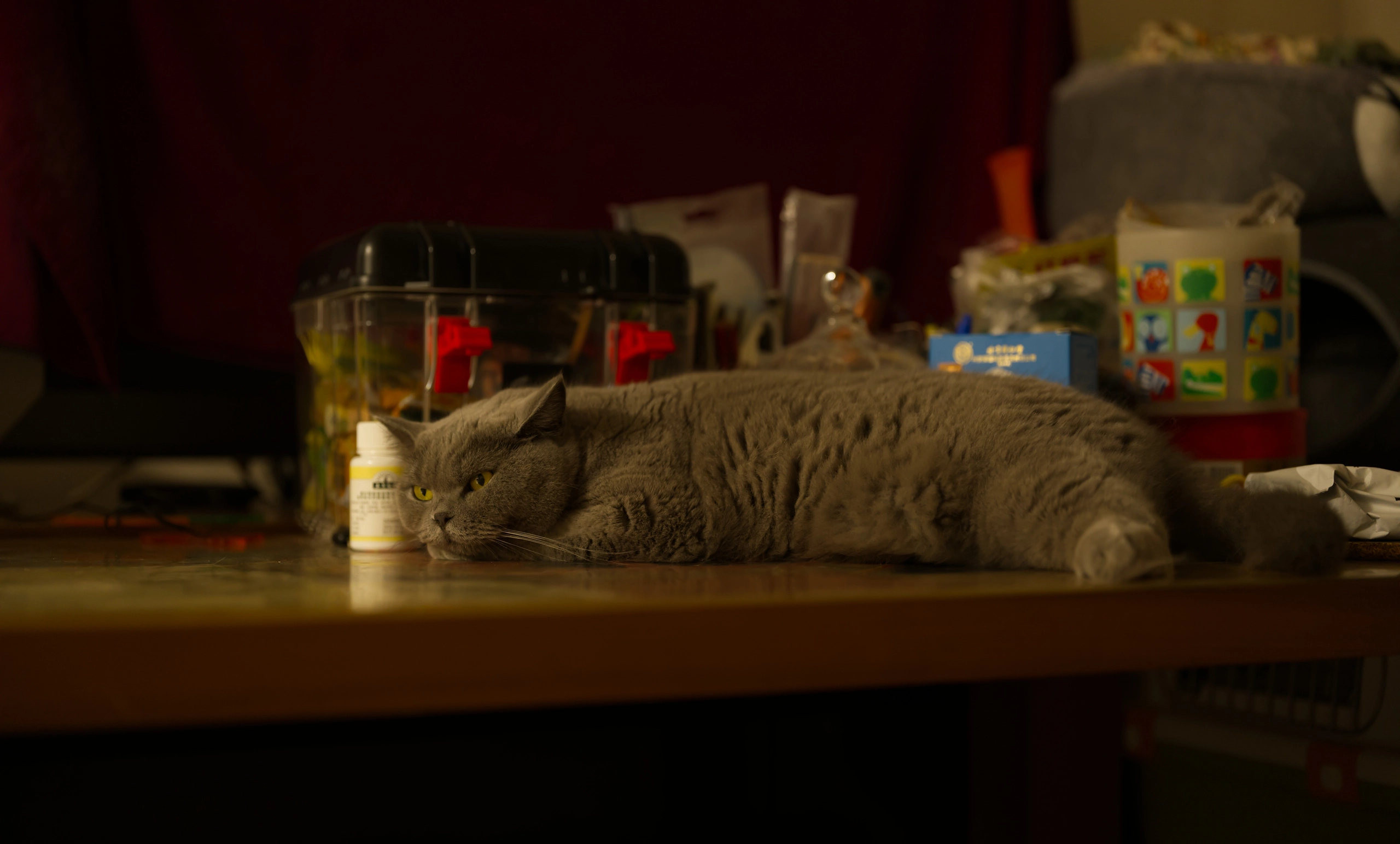 DSC03350