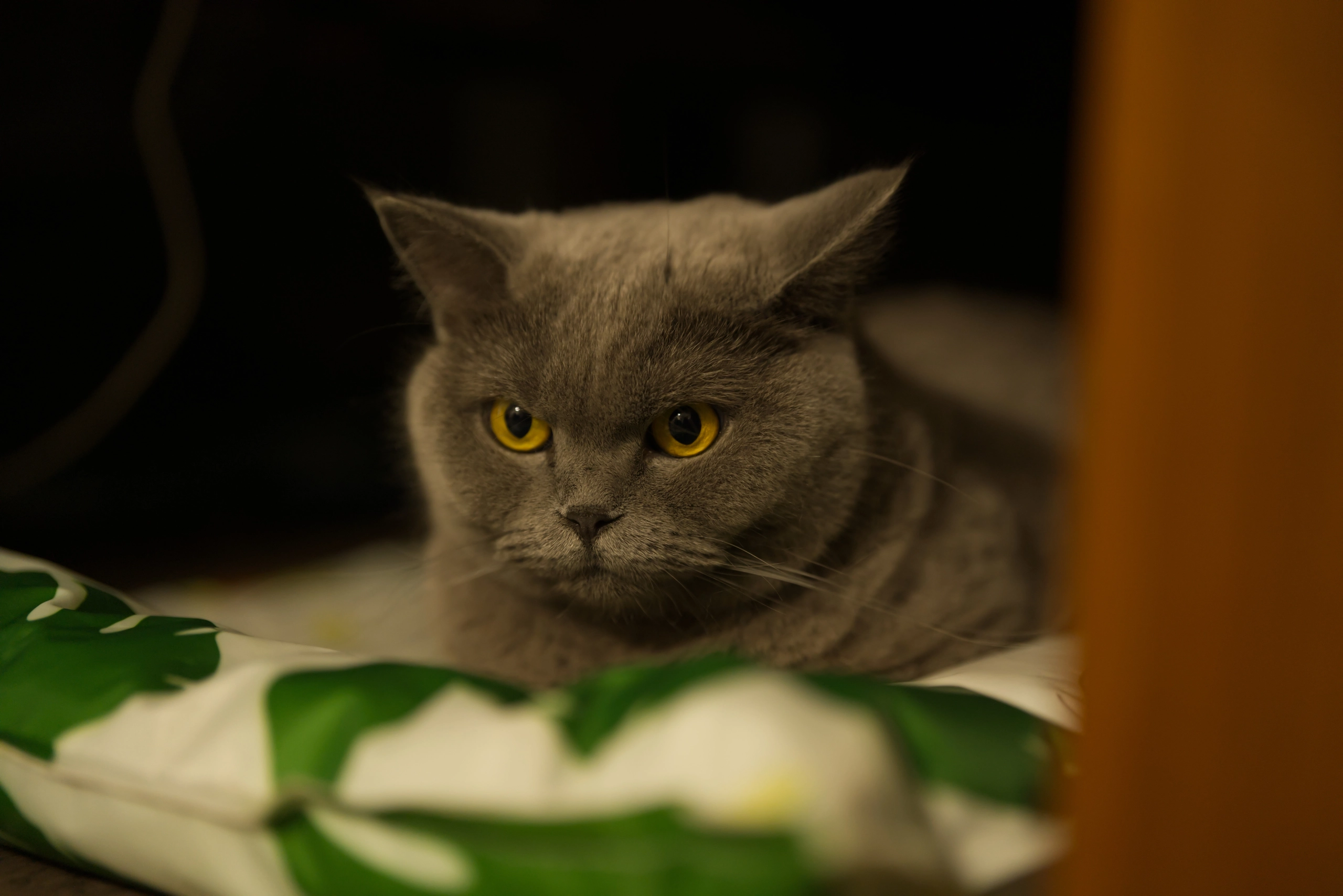 DSC03358