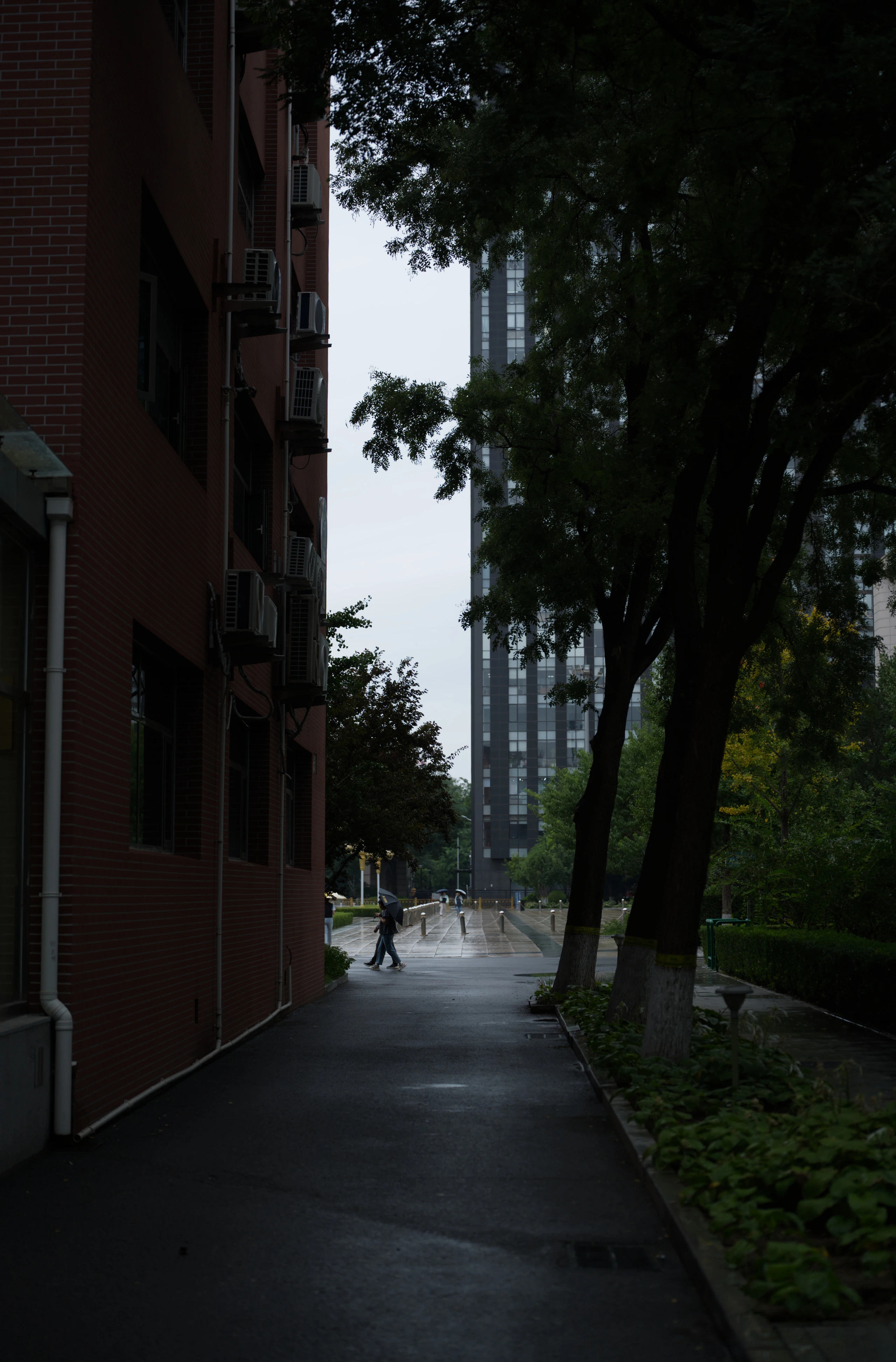 DSC03467