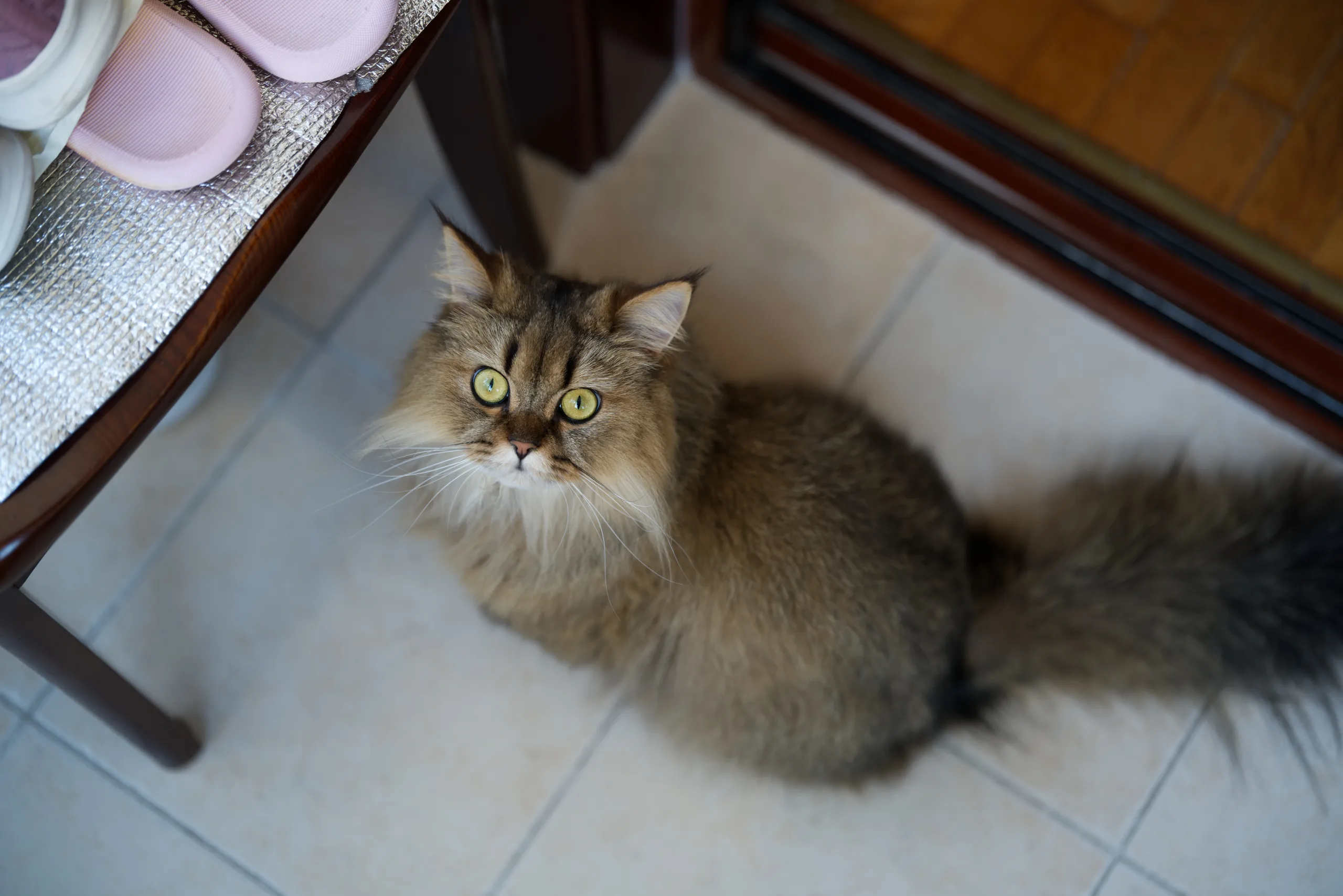 DSC03647