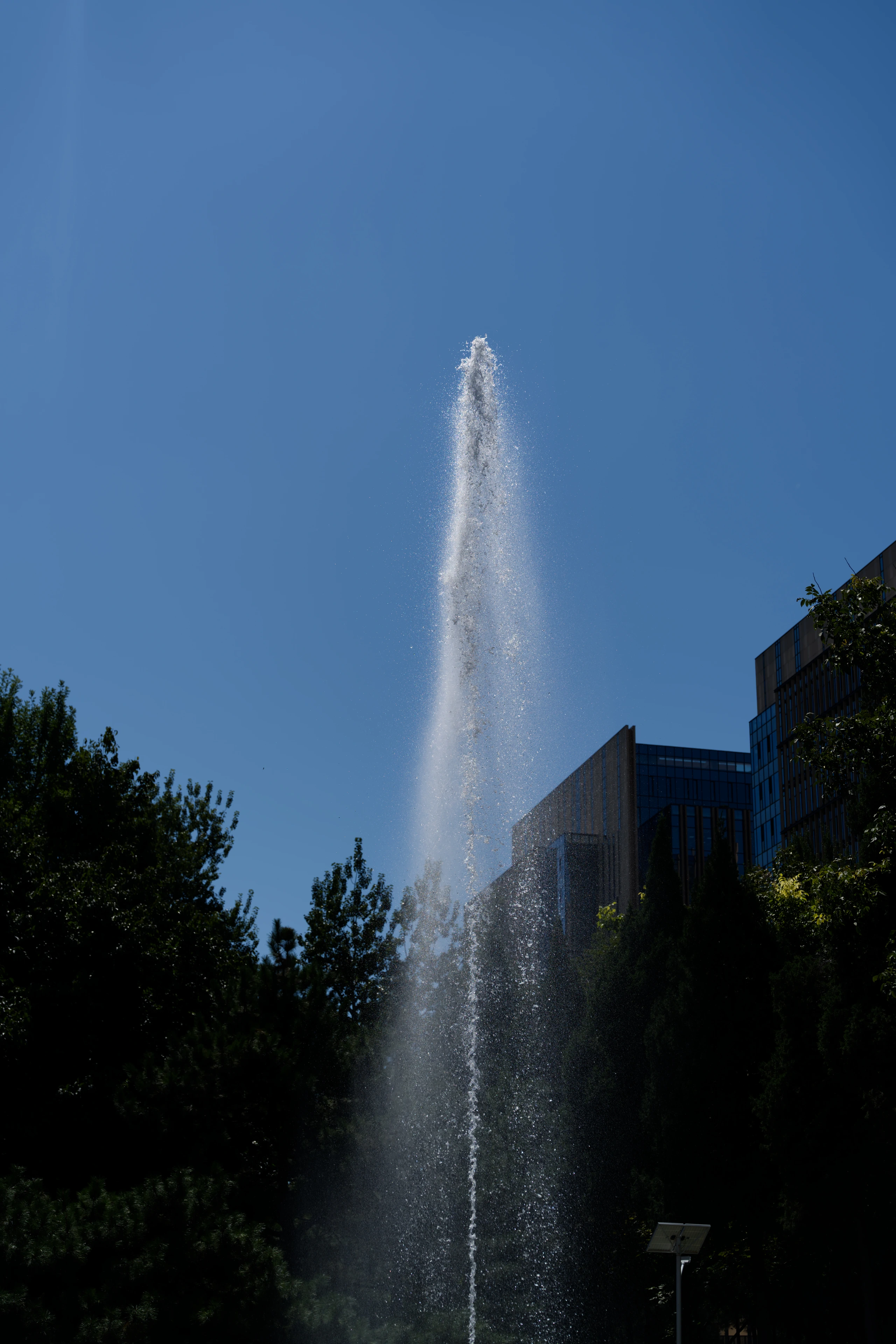 DSC03819