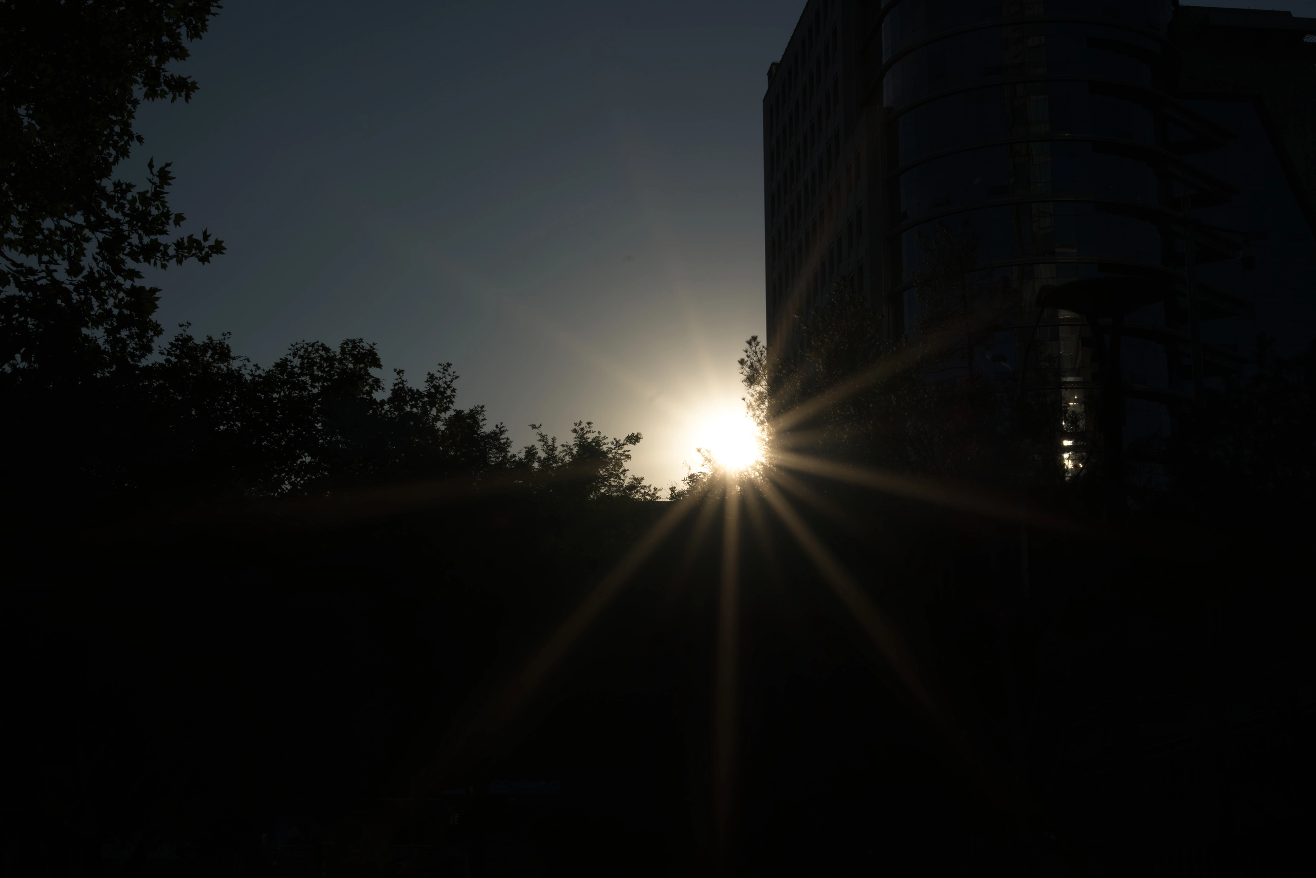 DSC03857