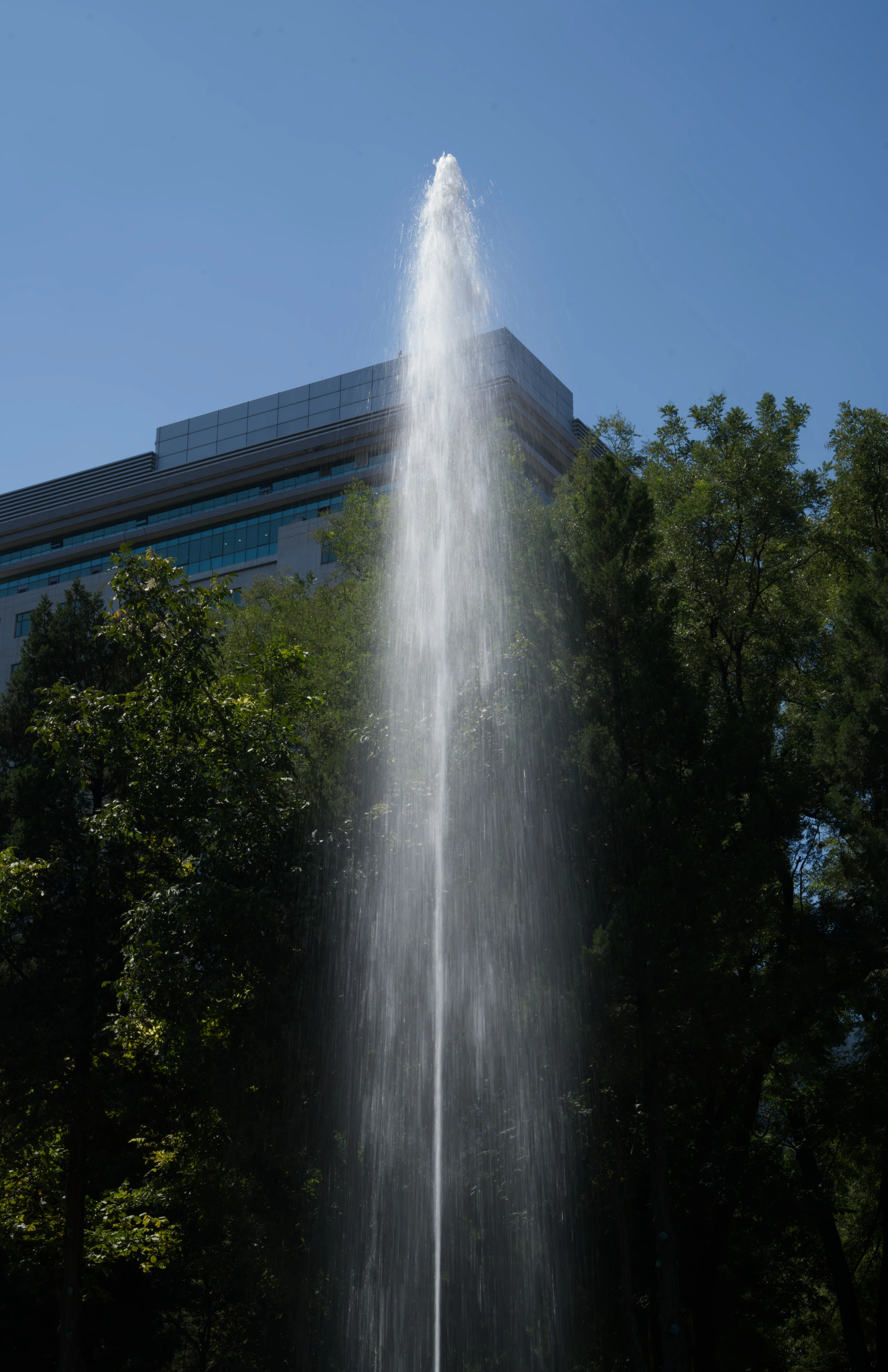 DSC04007