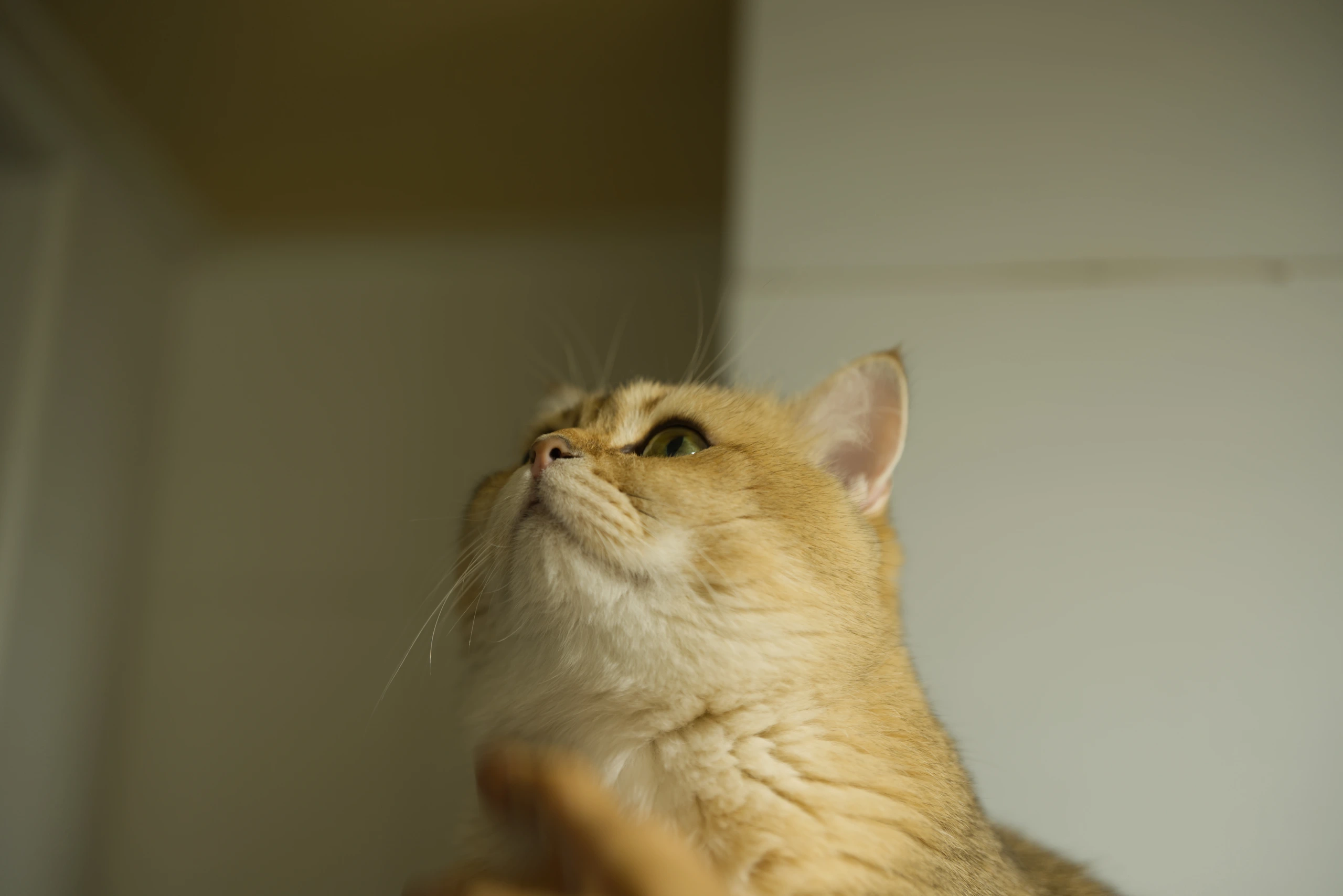 DSC04089