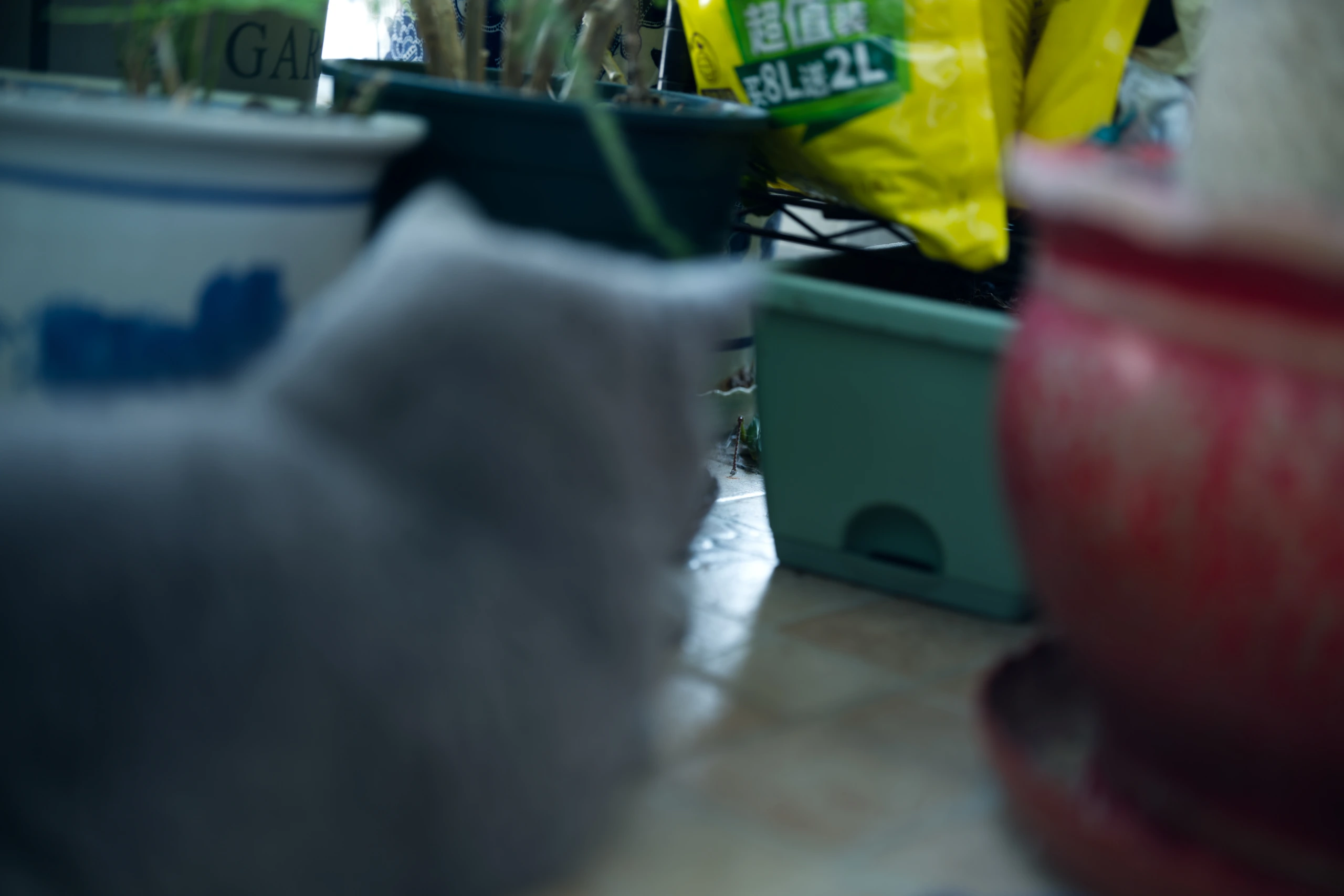 DSC04251