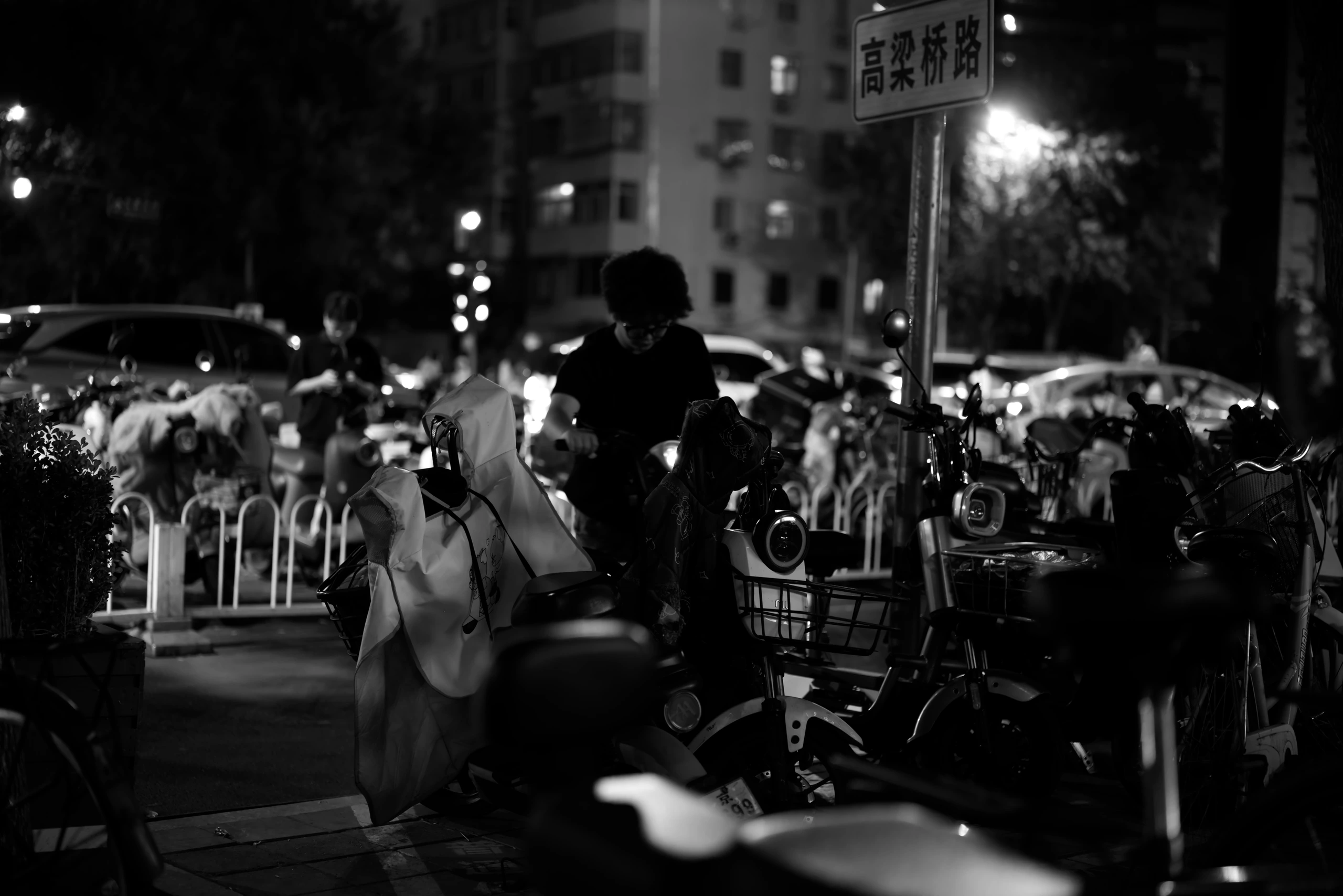 DSC04555.Bw